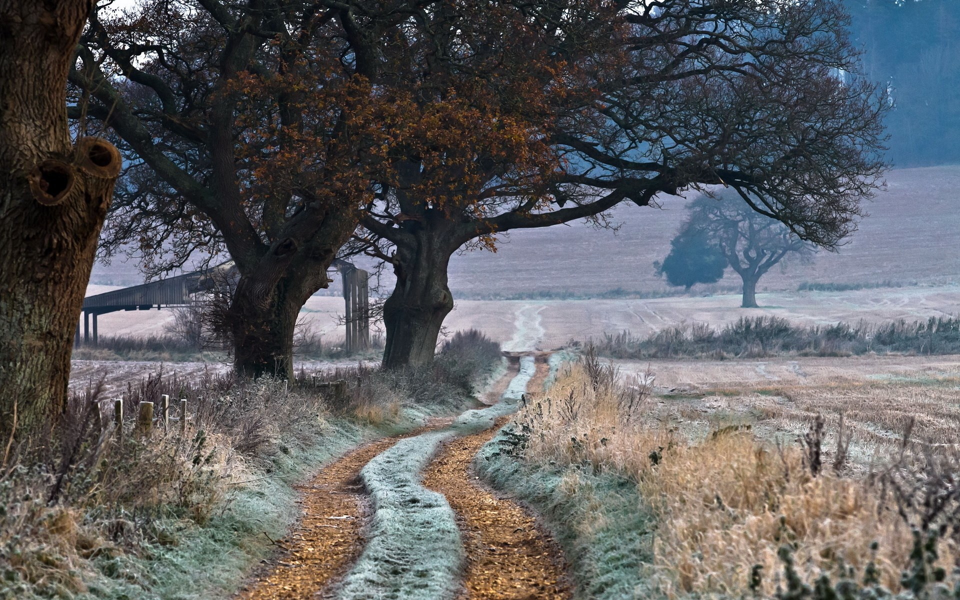 Winding frosty path through trees in winter landscape HD Wallpaper
