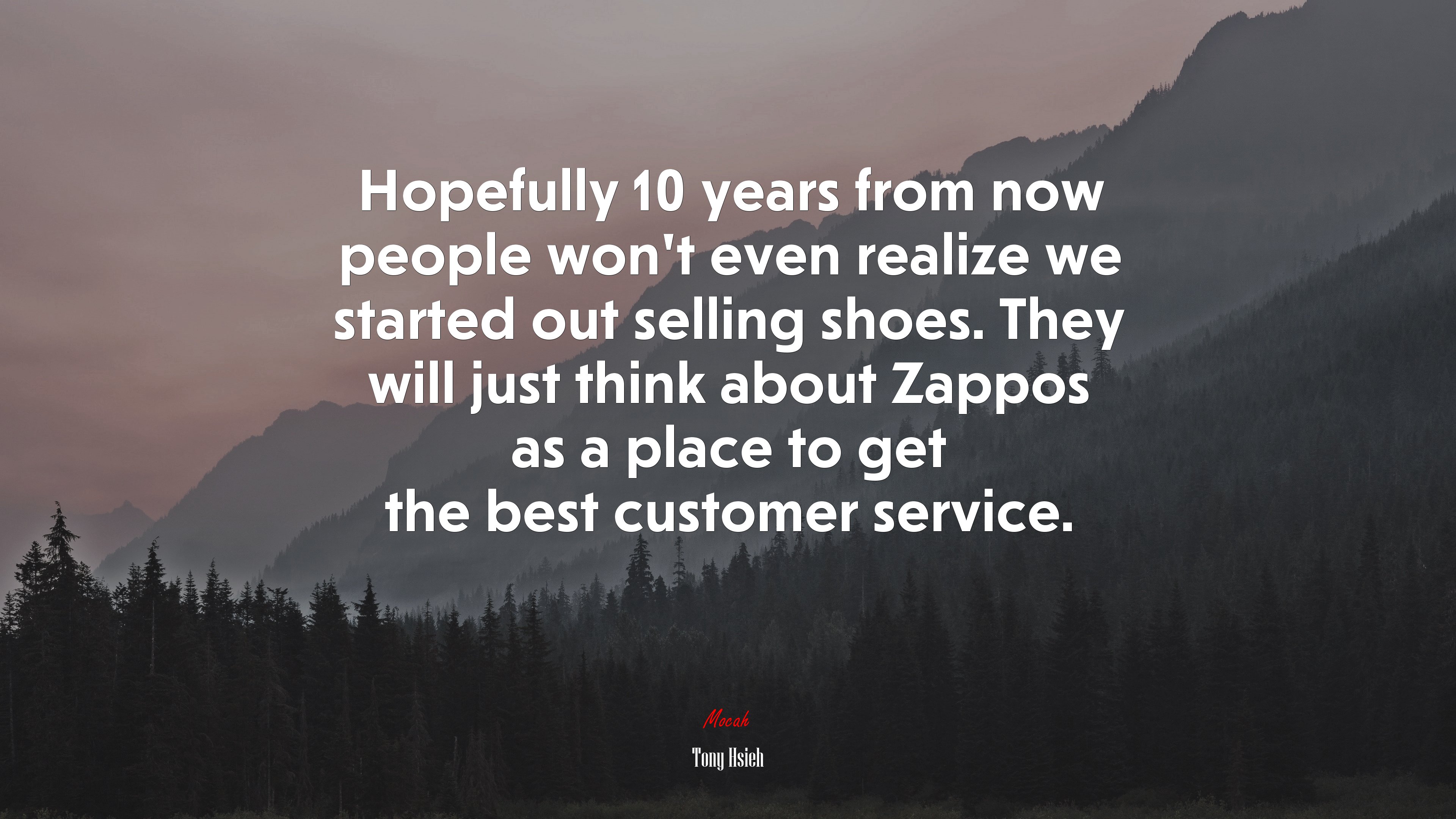 Hopefully 10 years from now people won’t even realize we started out selling shoes. They will just think about Zappos as a place to get the best customer service. | Tony Hsieh quote HD Wallpaper