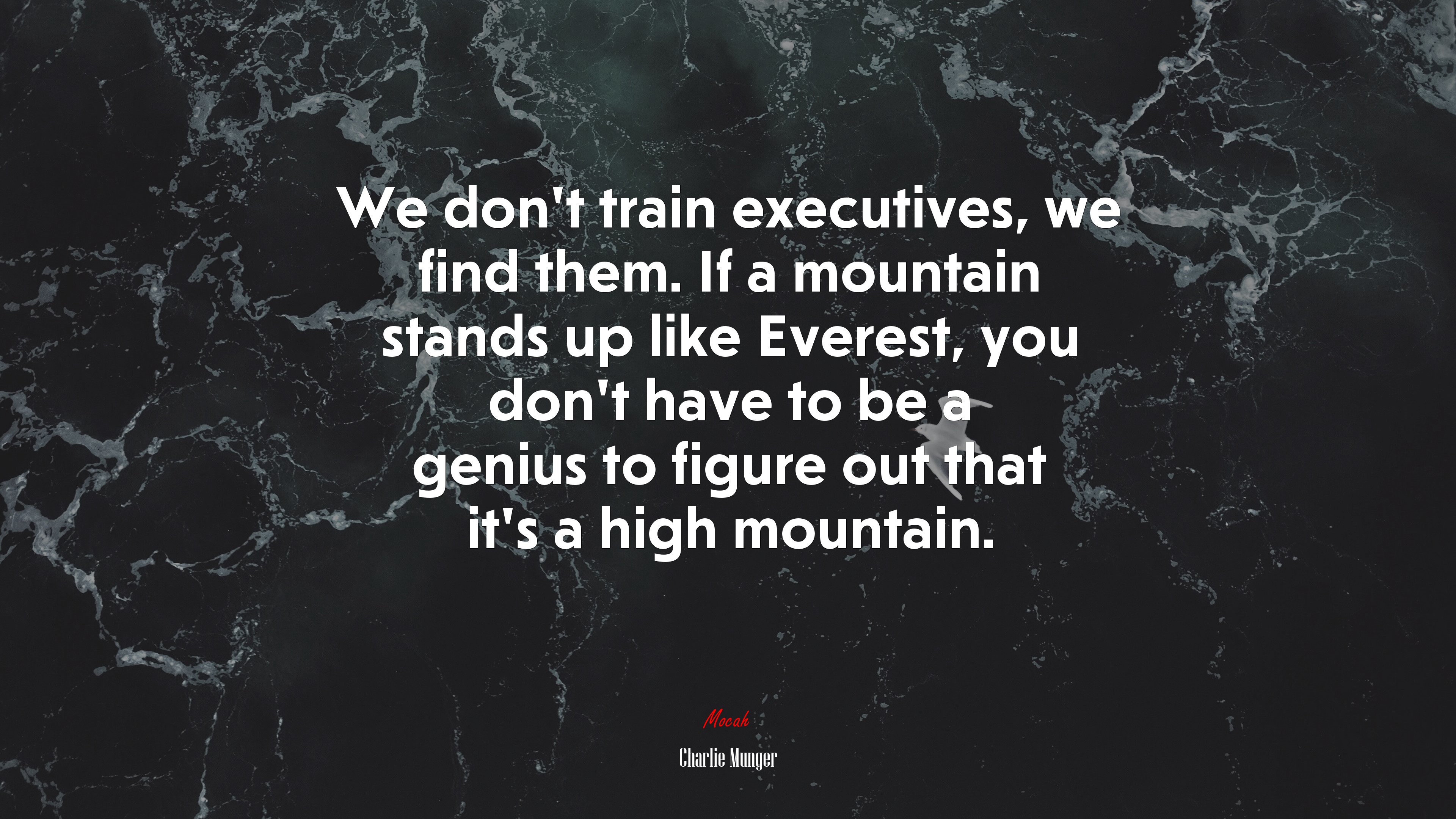 We don’t train executives, we find them. If a mountain stands up like Everest, you don’t have to be a genius to figure out that it’s a high mountain. | Charlie Munger quote HD Wallpaper