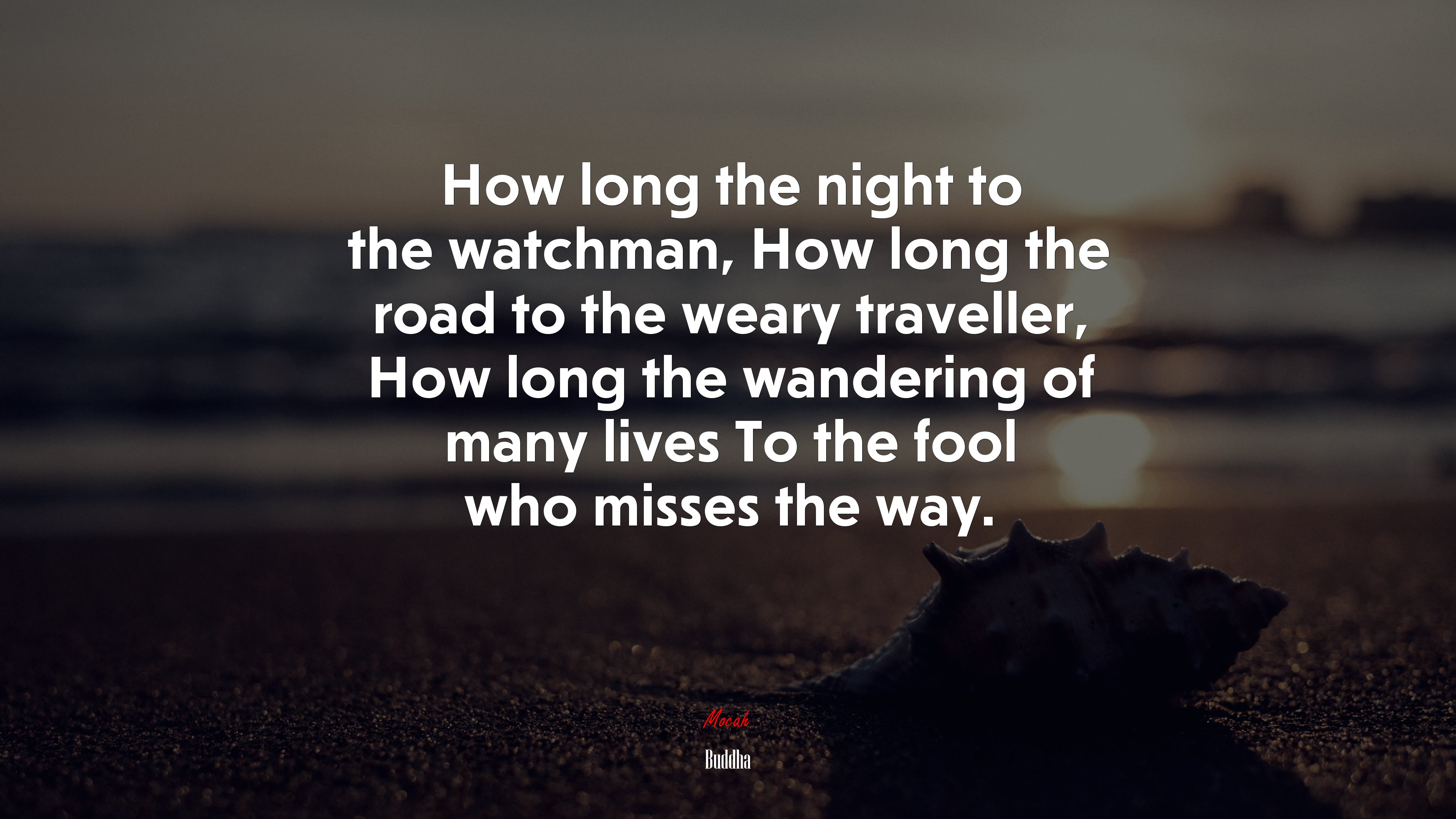 How long the night to the watchman, How long the road to the weary traveller, How long the wandering of many lives To the fool who misses the way. | Buddha quote HD Wallpaper