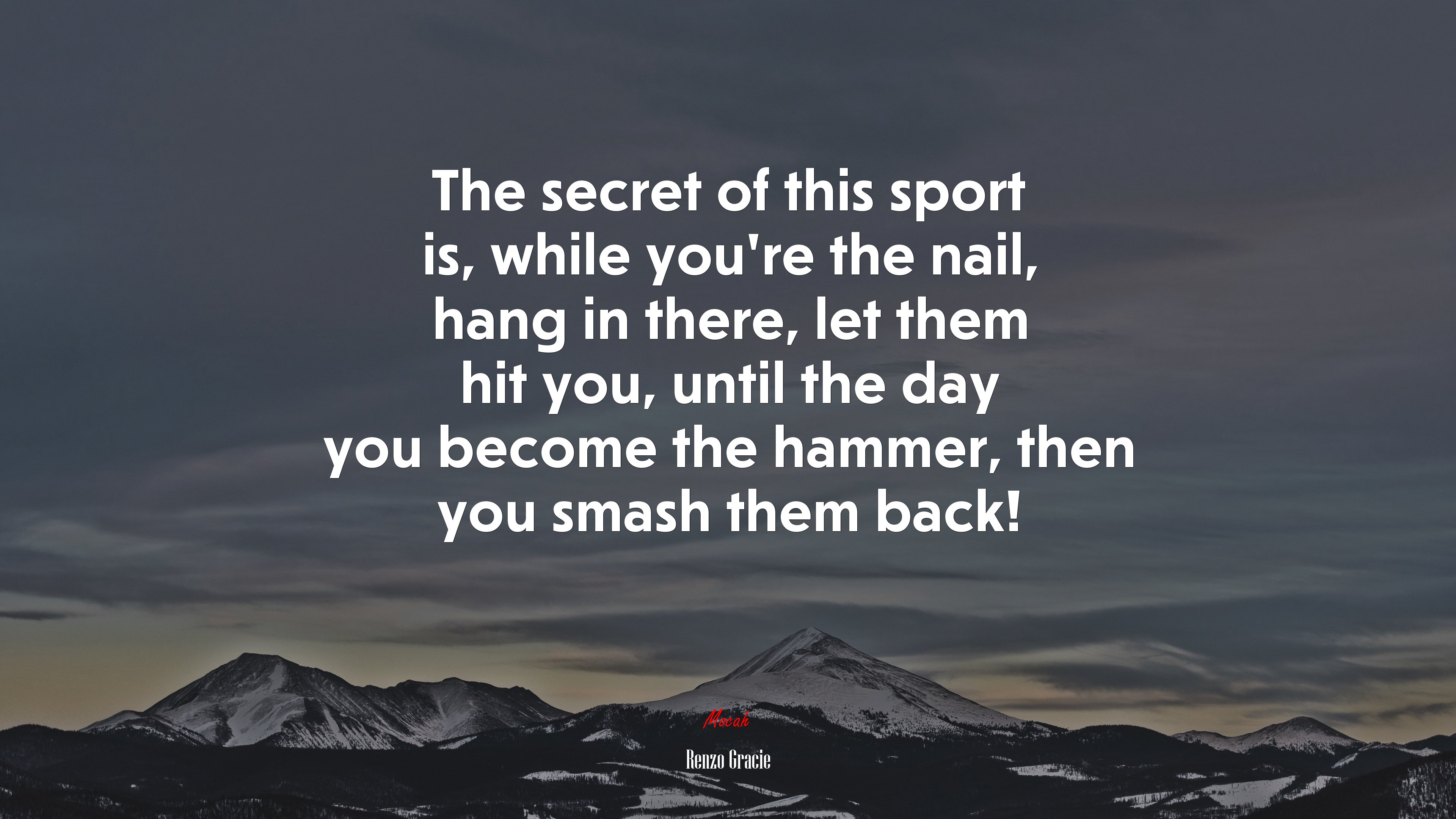 The secret of this sport is, while you’re the nail, hang in there, let them hit you, until the day you become the hammer, then you smash them back! | Renzo Gracie quote HD Wallpaper