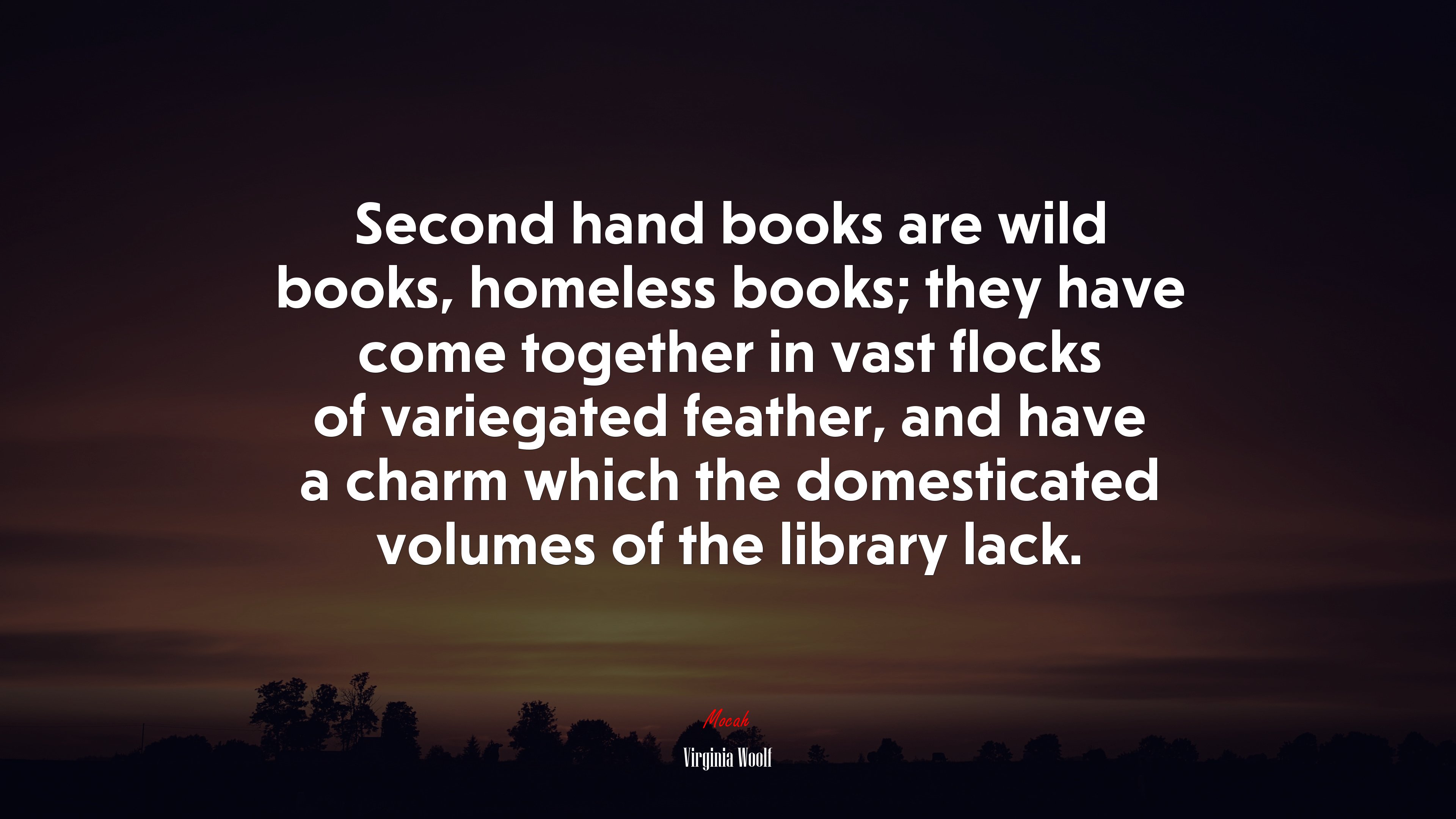 Second hand books are wild books, homeless books; they have come together in vast flocks of variegated feather, and have a charm which the domesticated volumes of the library lack. | Virginia Woolf quote HD Wallpaper