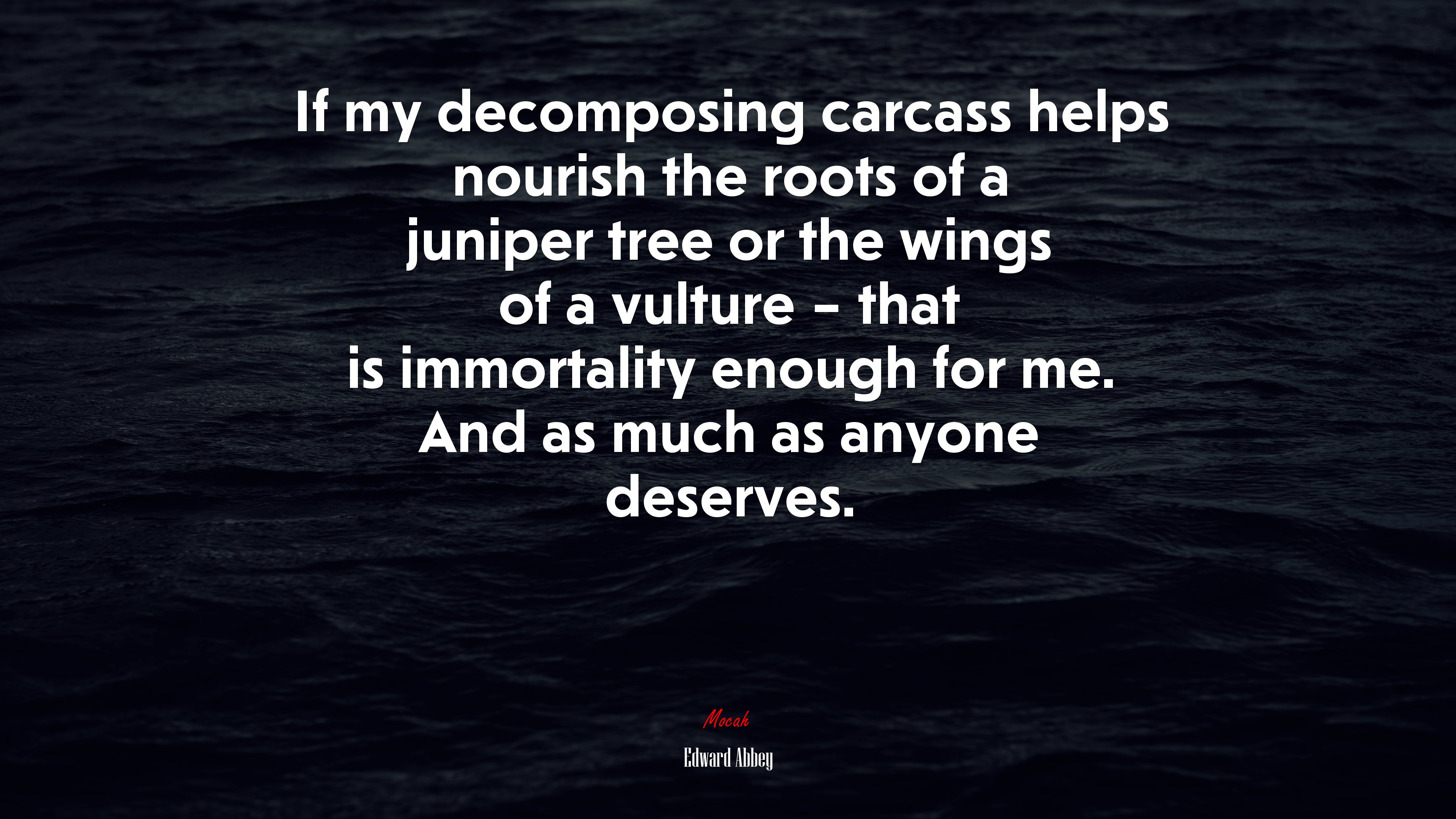 If my decomposing carcass helps nourish the roots of a juniper tree or the wings of a vulture – that is immortality enough for me. And as much as anyone deserves. | Edward Abbey quote HD Wallpaper