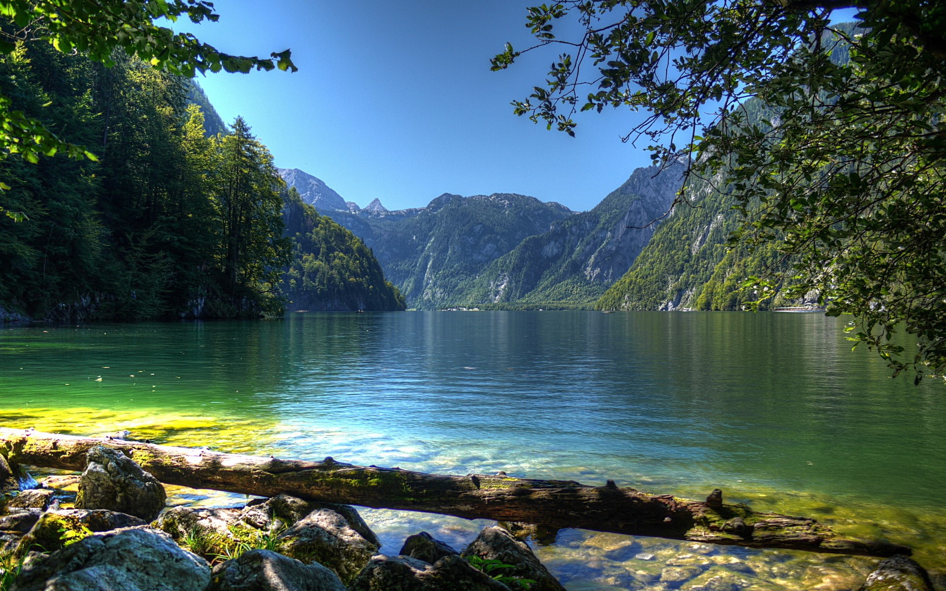 Lake surrounded by mountains and trees HD Wallpaper