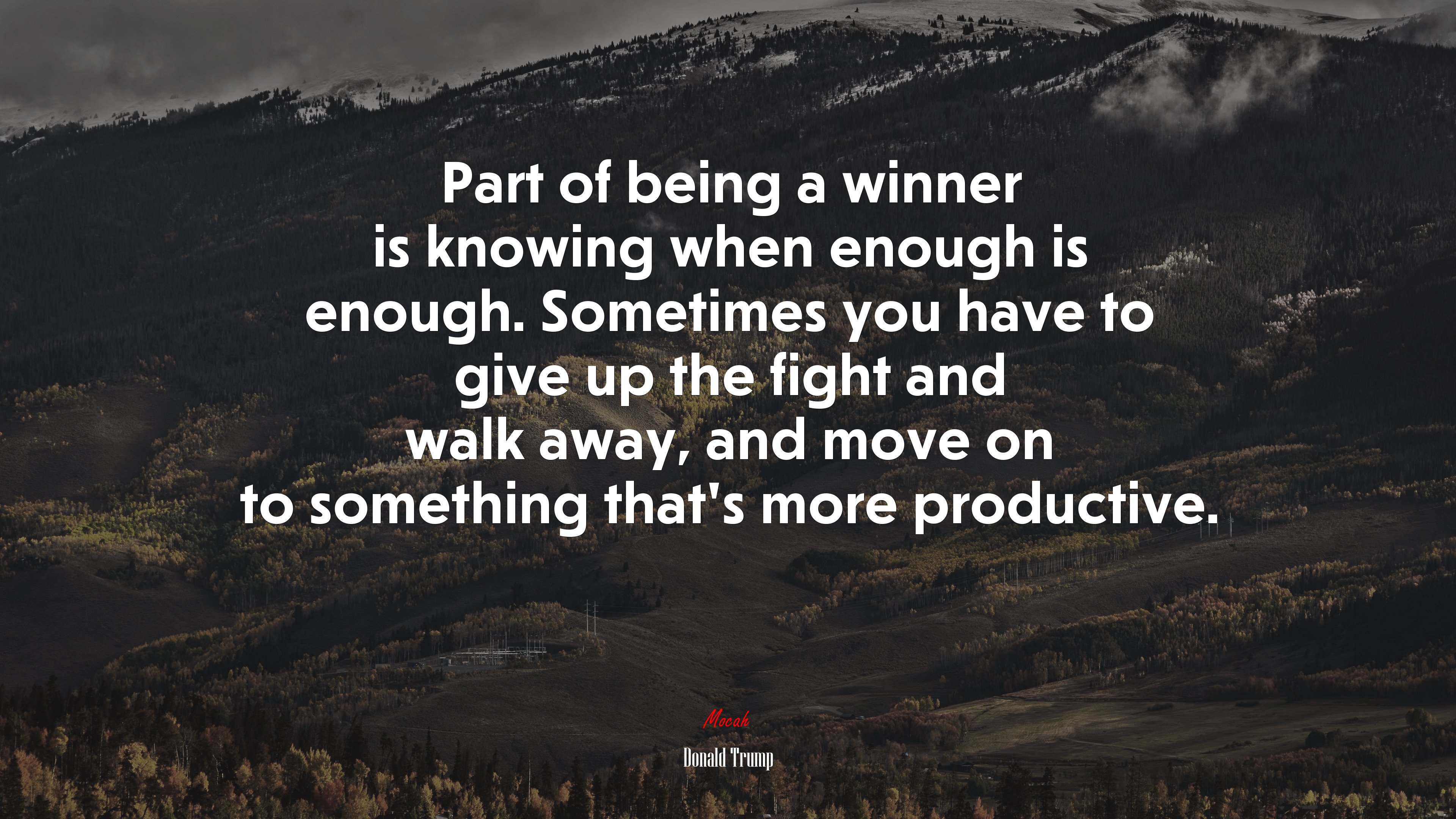 Part of being a winner is knowing when enough is enough. Sometimes you have to give up the fight and walk away, and move on to something that’s more productive. | Donald Trump quote HD Wallpaper