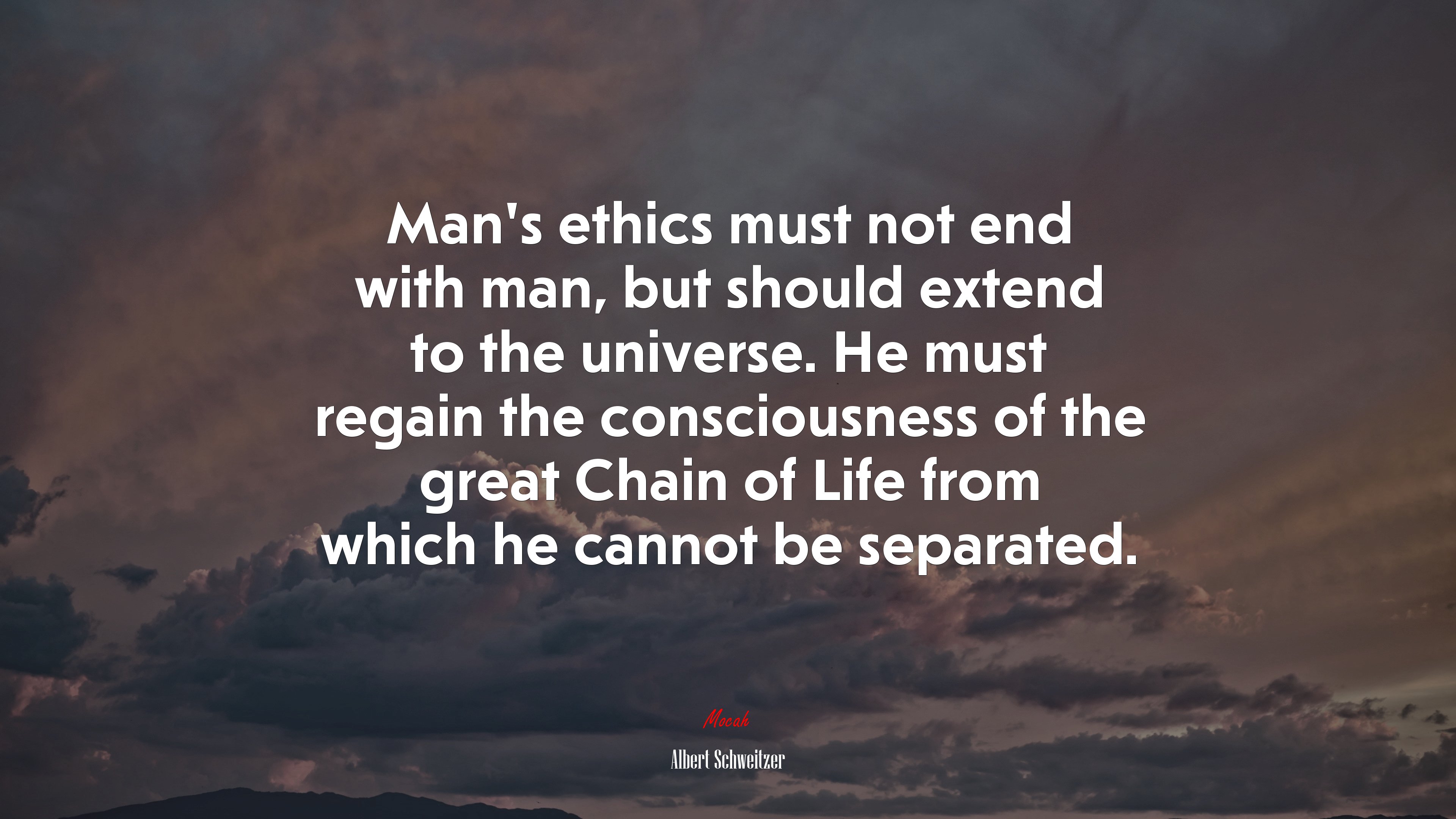 Man’s ethics must not end with man, but should extend to the universe. He must regain the consciousness of the great Chain of Life from which he cannot be separated. | Albert Schweitzer quote HD Wallpaper