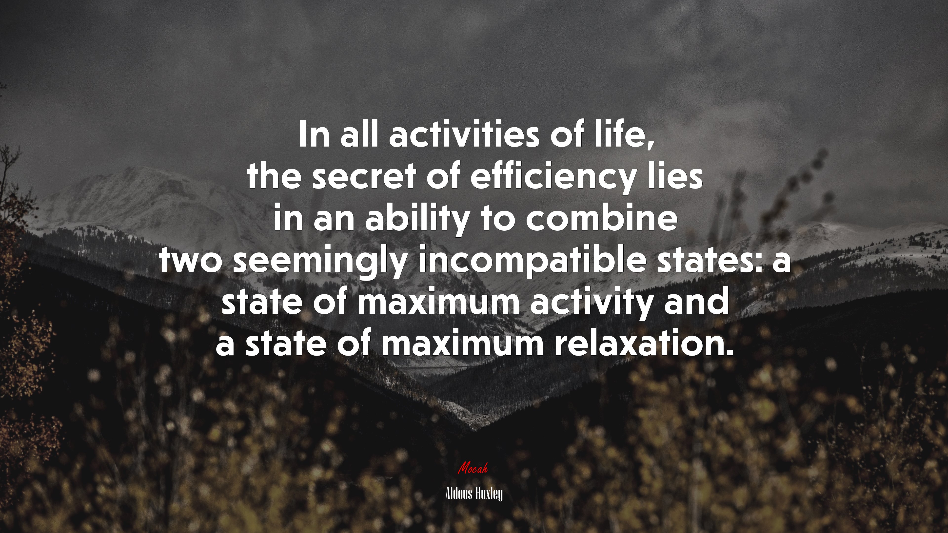 In all activities of life, the secret of efficiency lies in an ability to combine two seemingly incompatible states: a state of maximum activity and a state of maximum relaxation. | Aldous Huxley quote HD Wallpaper