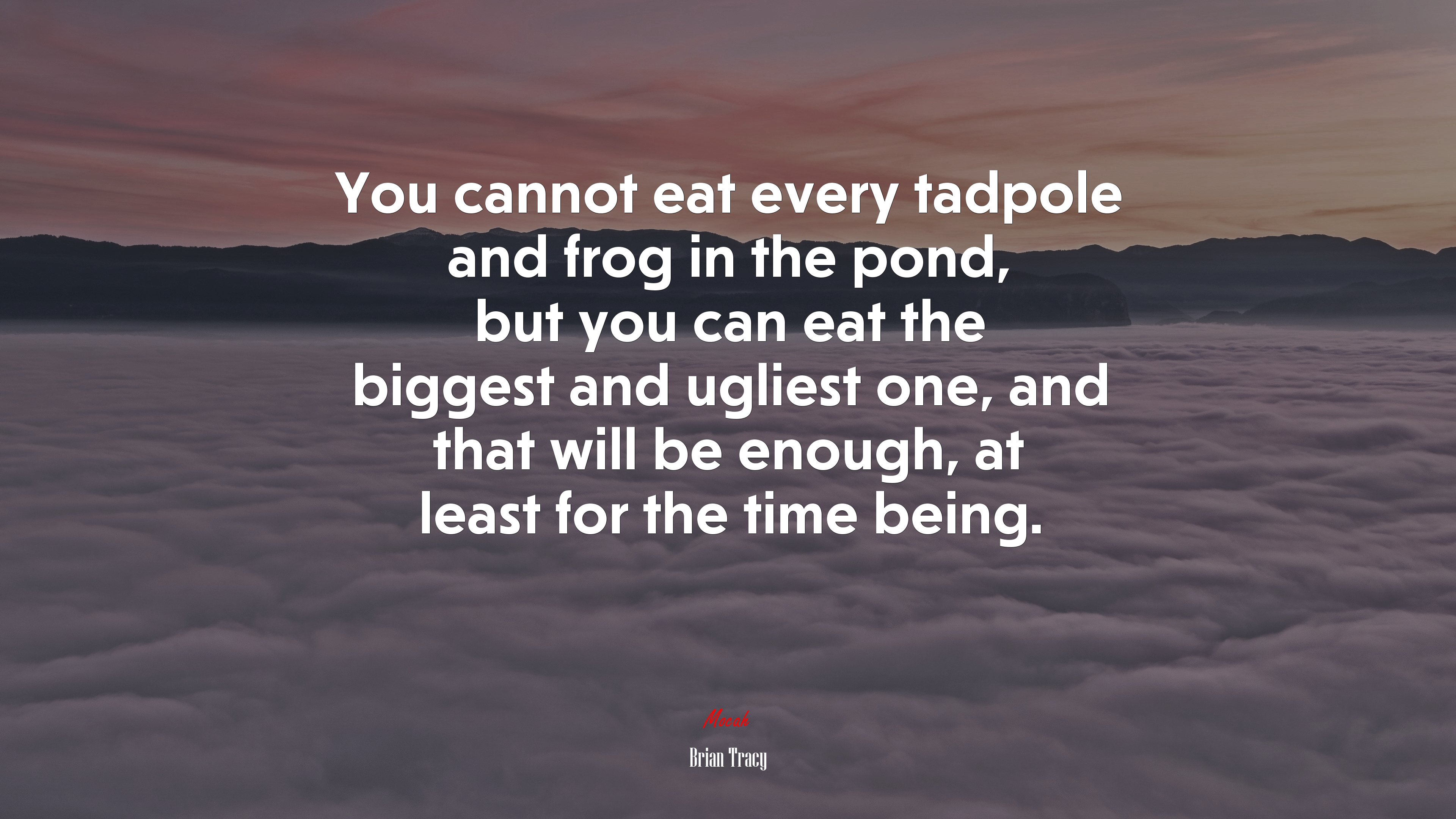 You cannot eat every tadpole and frog in the pond, but you can eat the biggest and ugliest one, and that will be enough, at least for the time being. | Brian Tracy quote HD Wallpaper