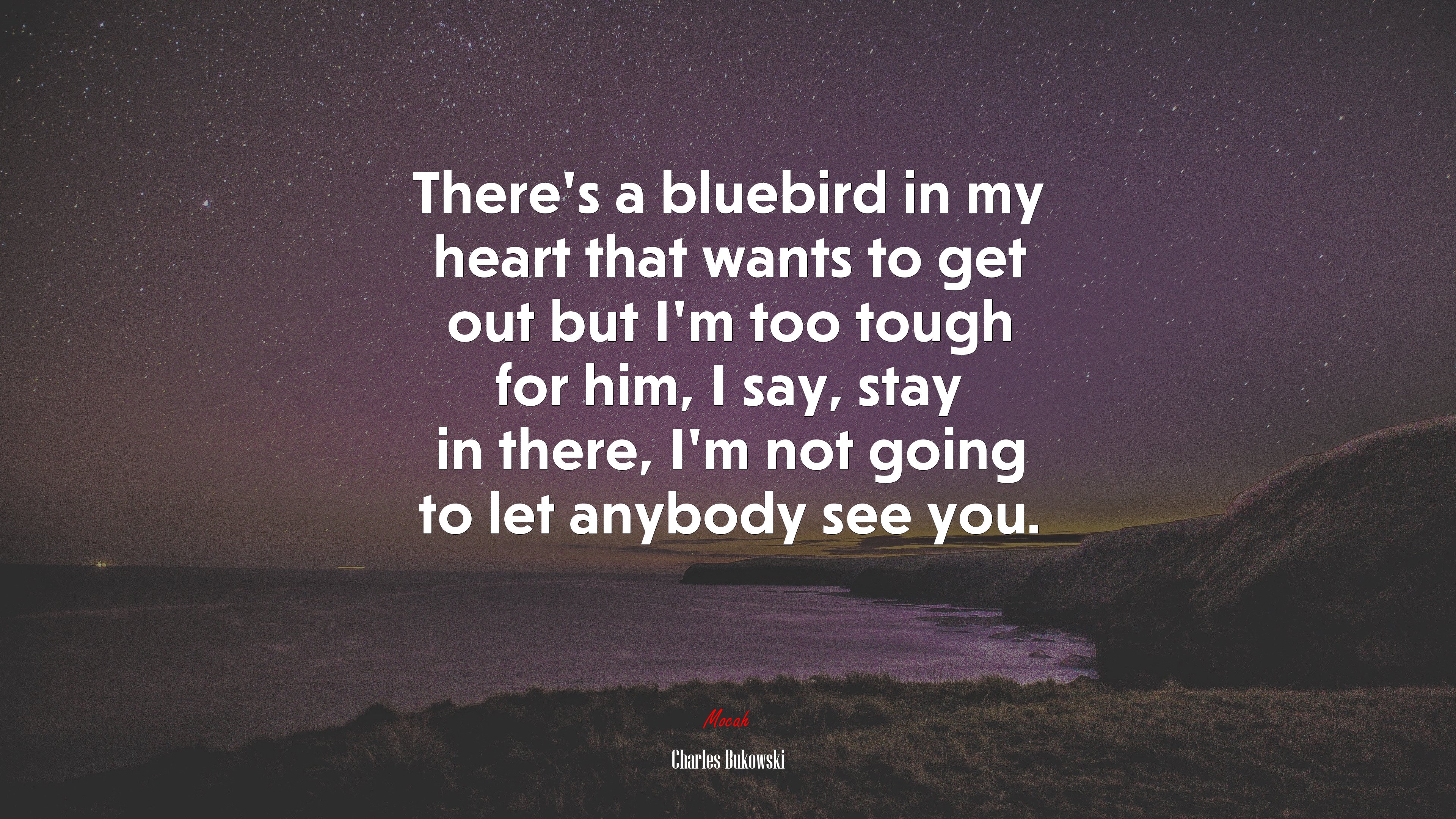 There’s a bluebird in my heart that wants to get out but I’m too tough for him, I say, stay in there, I’m not going to let anybody see you. | Charles Bukowski quote HD Wallpaper