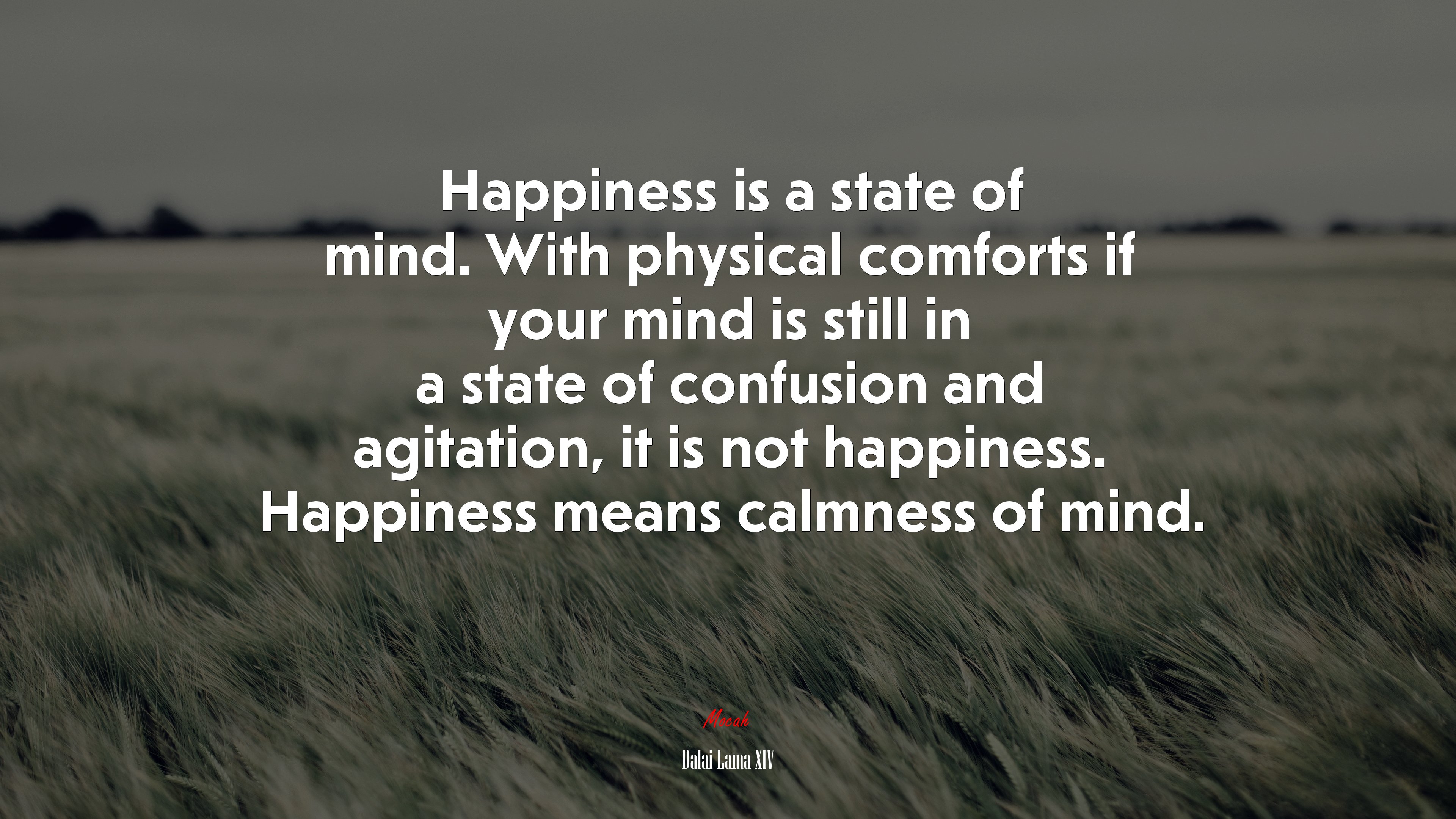Happiness is a state of mind. With physical comforts if your mind is still in a state of confusion and agitation, it is not happiness. Happiness means calmness of mind. | Dalai Lama XIV quote HD Wallpaper