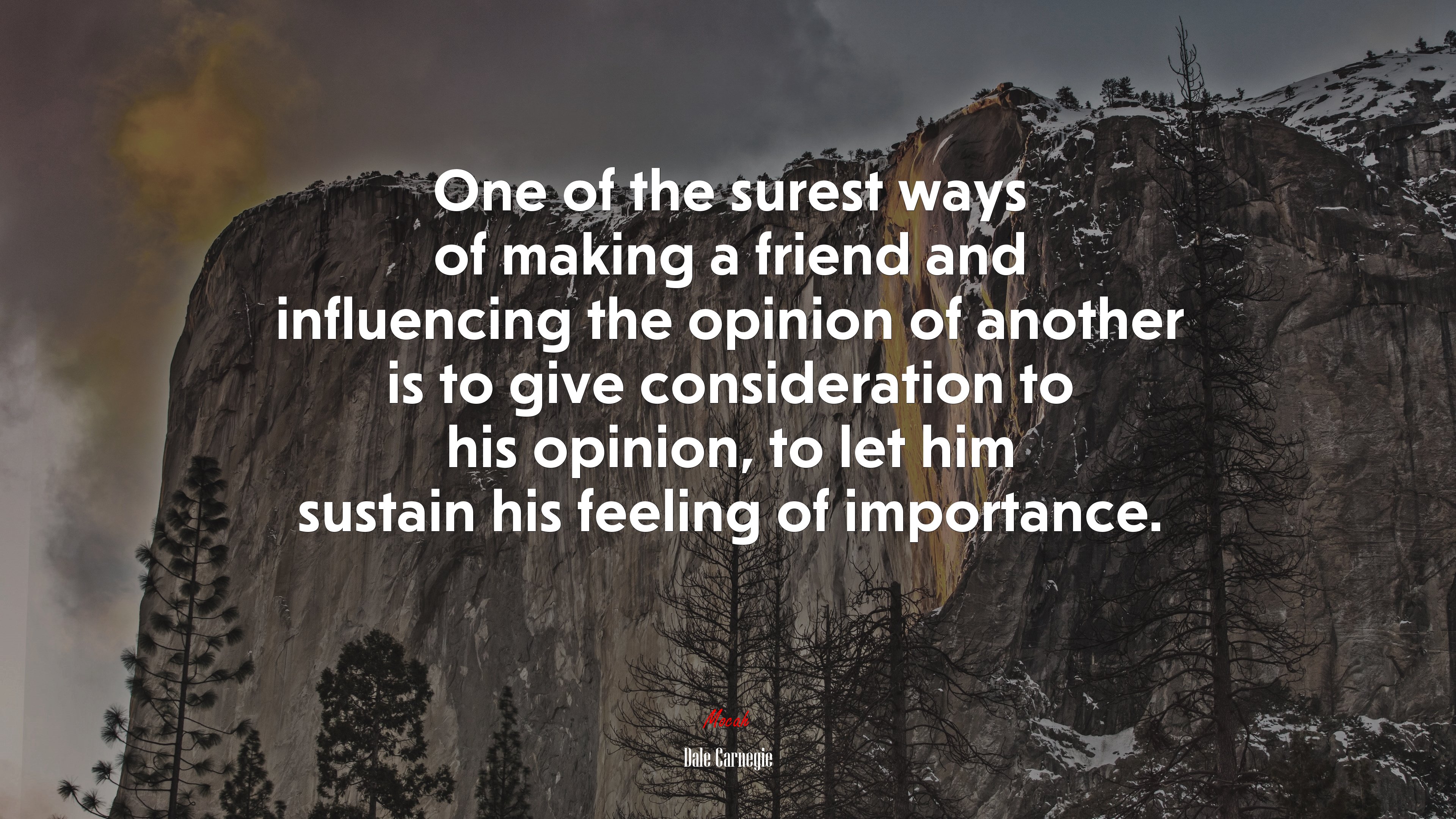 One of the surest ways of making a friend and influencing the opinion of another is to give consideration to his opinion, to let him sustain his feeling of importance. | Dale Carnegie quote HD Wallpaper