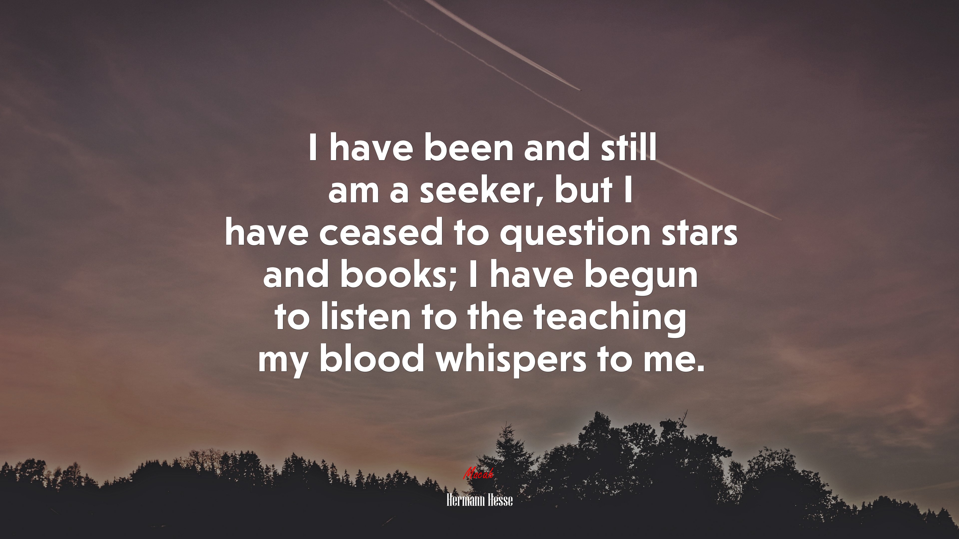 I have been and still am a seeker, but I have ceased to question stars and books; I have begun to listen to the teaching my blood whispers to me. | Hermann Hesse quote HD Wallpaper