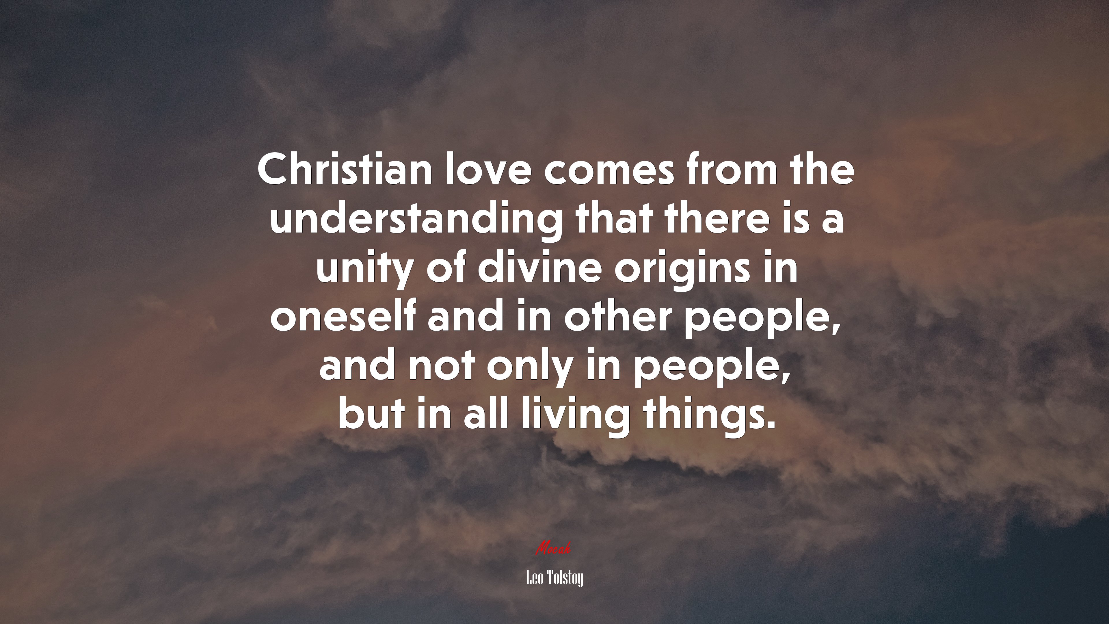 Christian love comes from the understanding that there is a unity of divine origins in oneself and in other people, and not only in people, but in all living things. | Leo Tolstoy quote HD Wallpaper