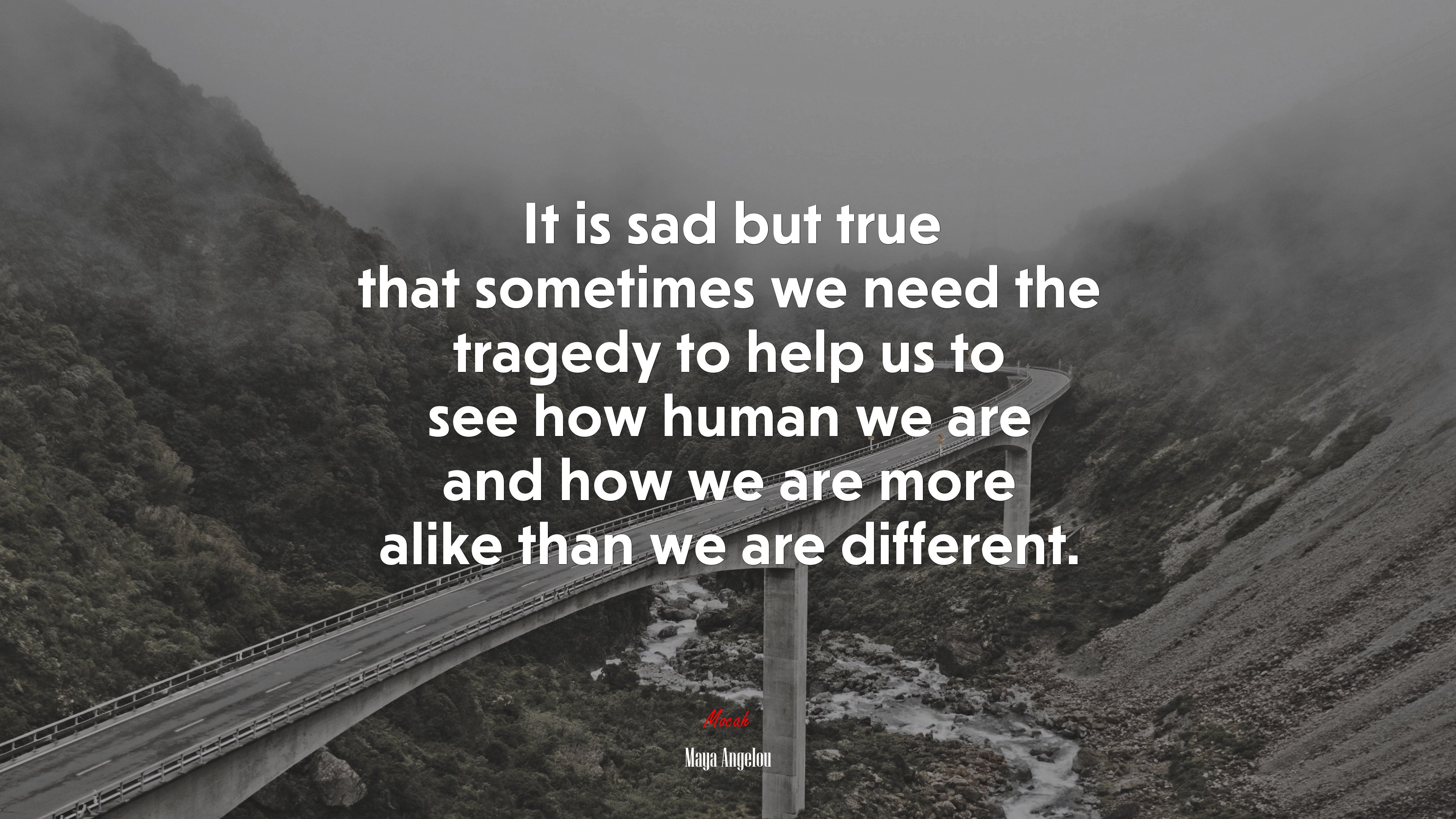 It is sad but true that sometimes we need the tragedy to help us to see how human we are and how we are more alike than we are different. | Maya Angelou quote HD Wallpaper