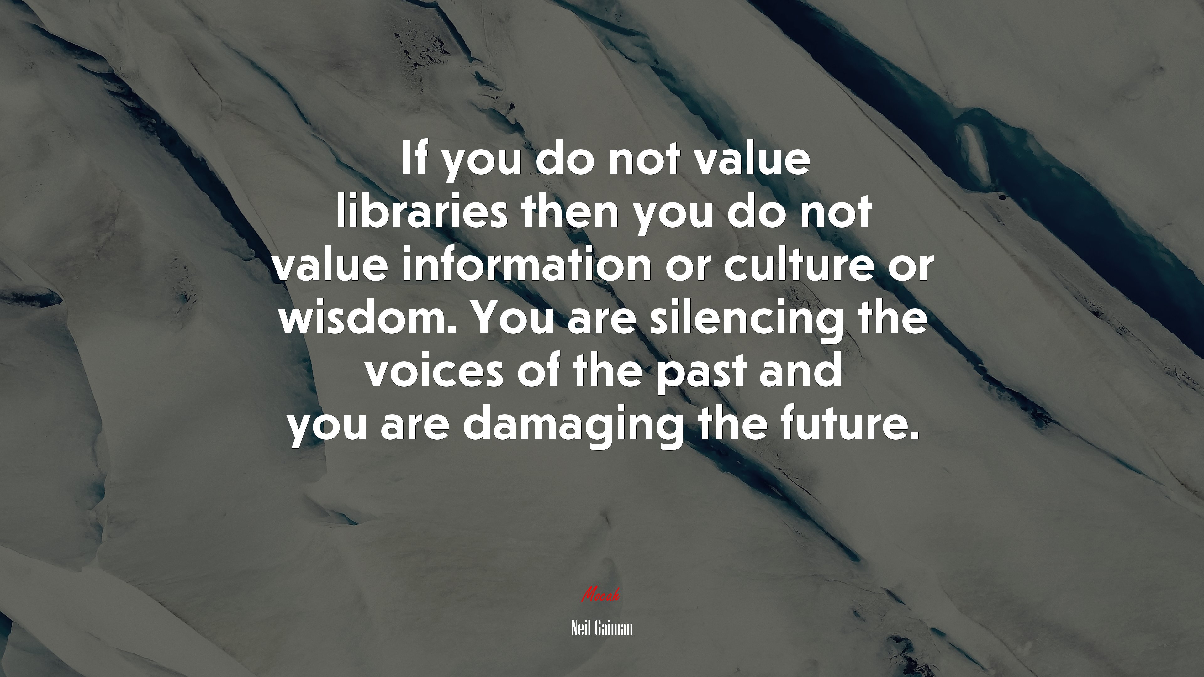 If you do not value libraries then you do not value information or culture or wisdom. You are silencing the voices of the past and you are damaging the future. | Neil Gaiman quote HD Wallpaper