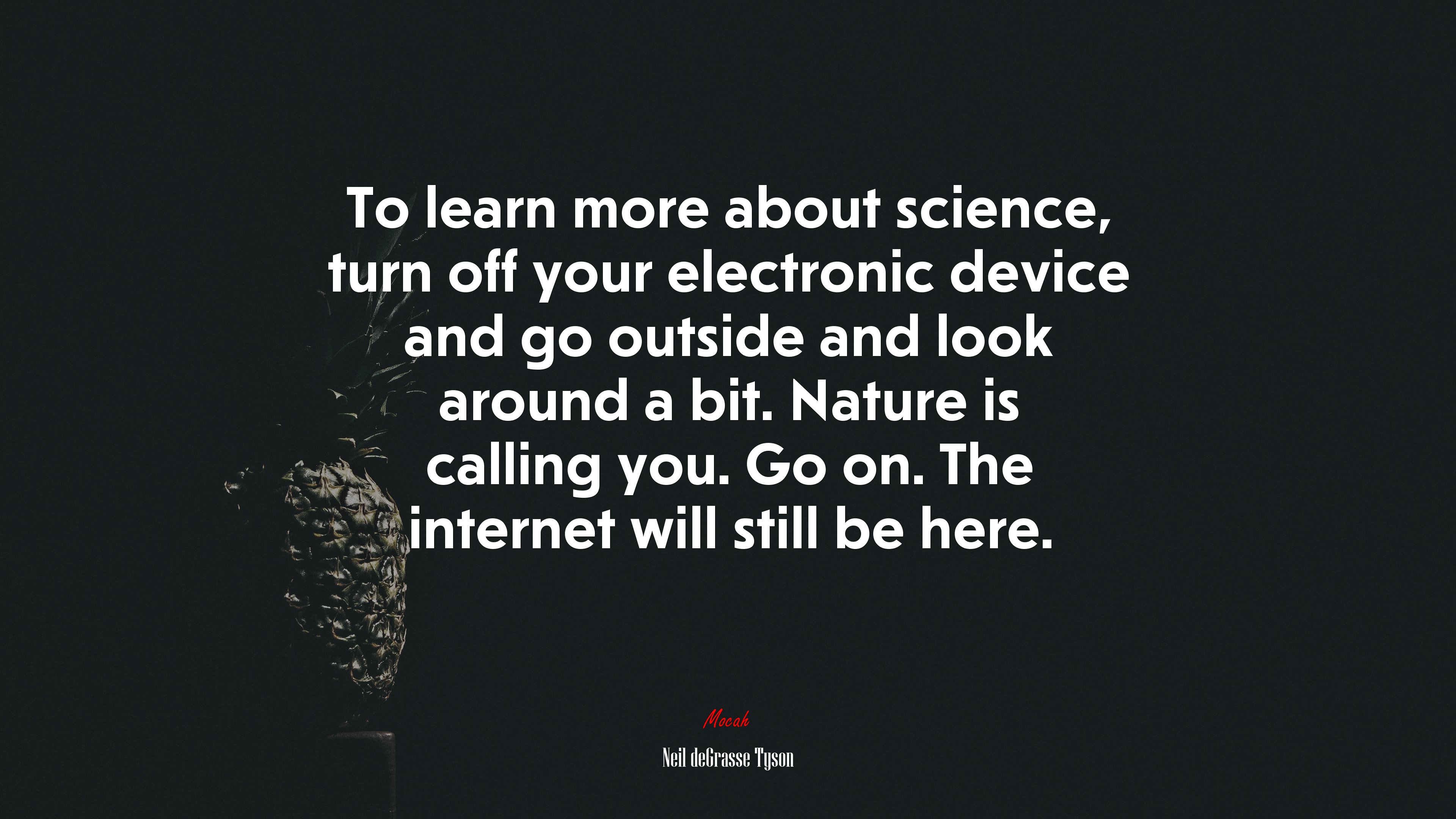 To learn more about science, turn off your electronic device and go outside and look around a bit. Nature is calling you. Go on. The internet will still be here. | Neil deGrasse Tyson quote HD Wallpaper