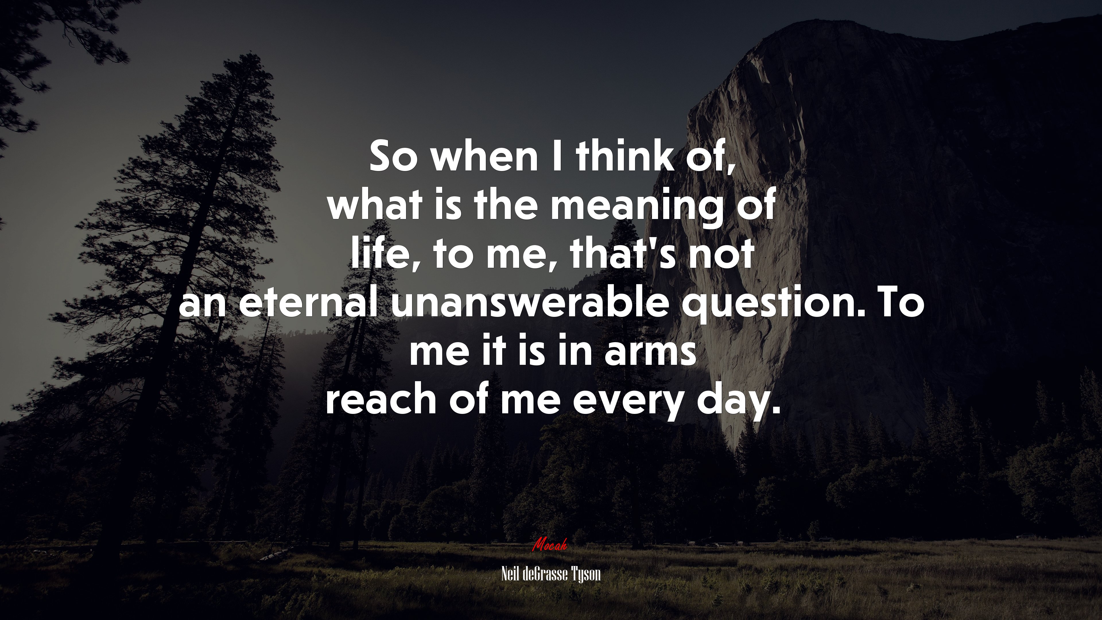 So when I think of, what is the meaning of life, to me, that’s not an eternal unanswerable question. To me it is in arms reach of me every day. | Neil deGrasse Tyson quote HD Wallpaper