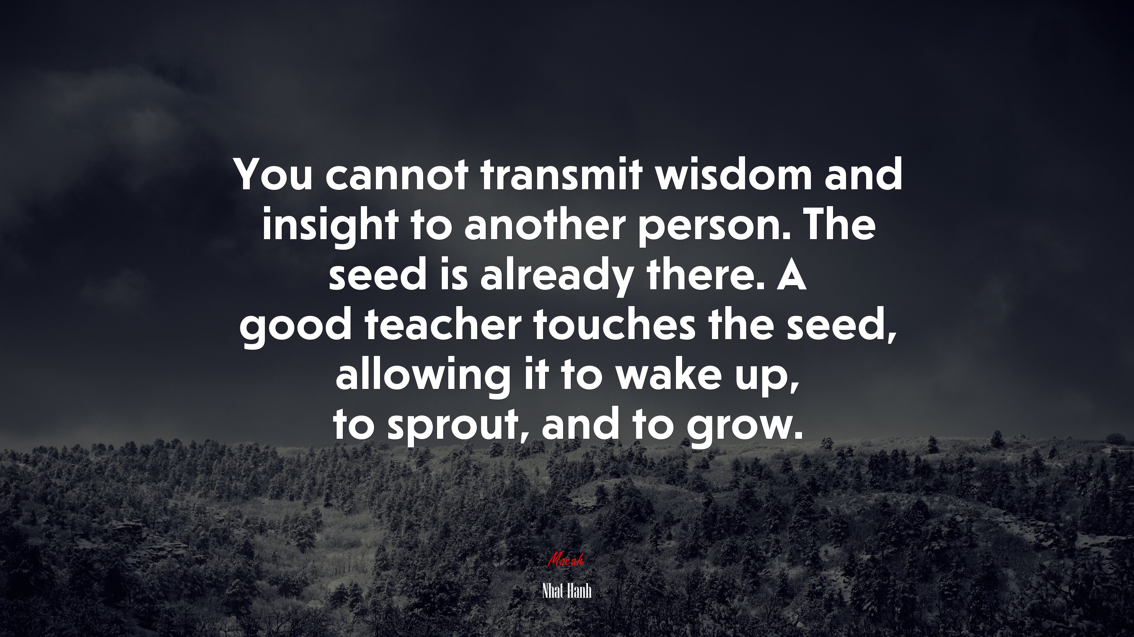 You cannot transmit wisdom and insight to another person. The seed is already there. A good teacher touches the seed, allowing it to wake up, to sprout, and to grow. | Nhat Hanh quote HD Wallpaper