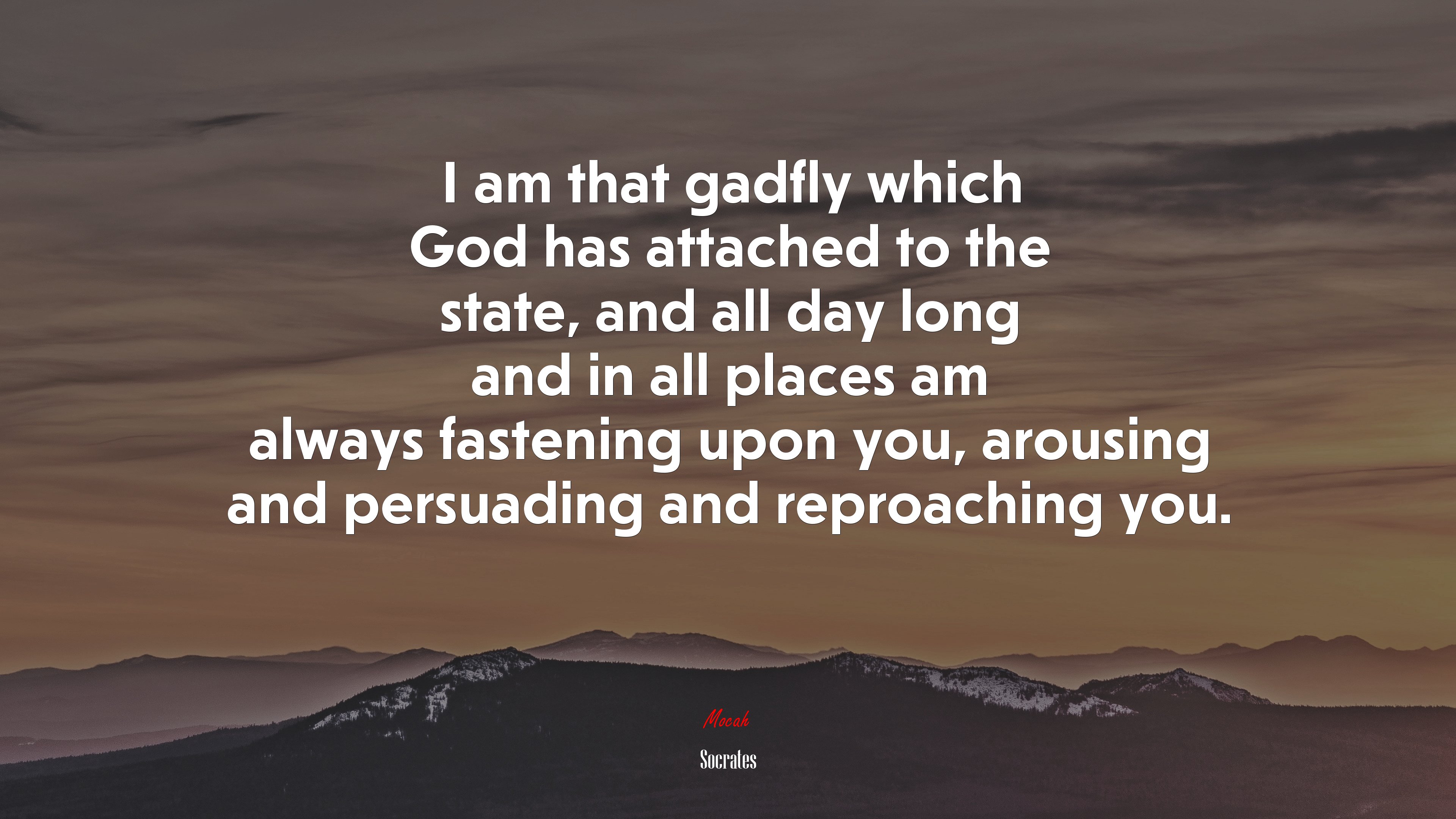 I am that gadfly which God has attached to the state, and all day long and in all places am always fastening upon you, arousing and persuading and reproaching you. | Socrates quote HD Wallpaper