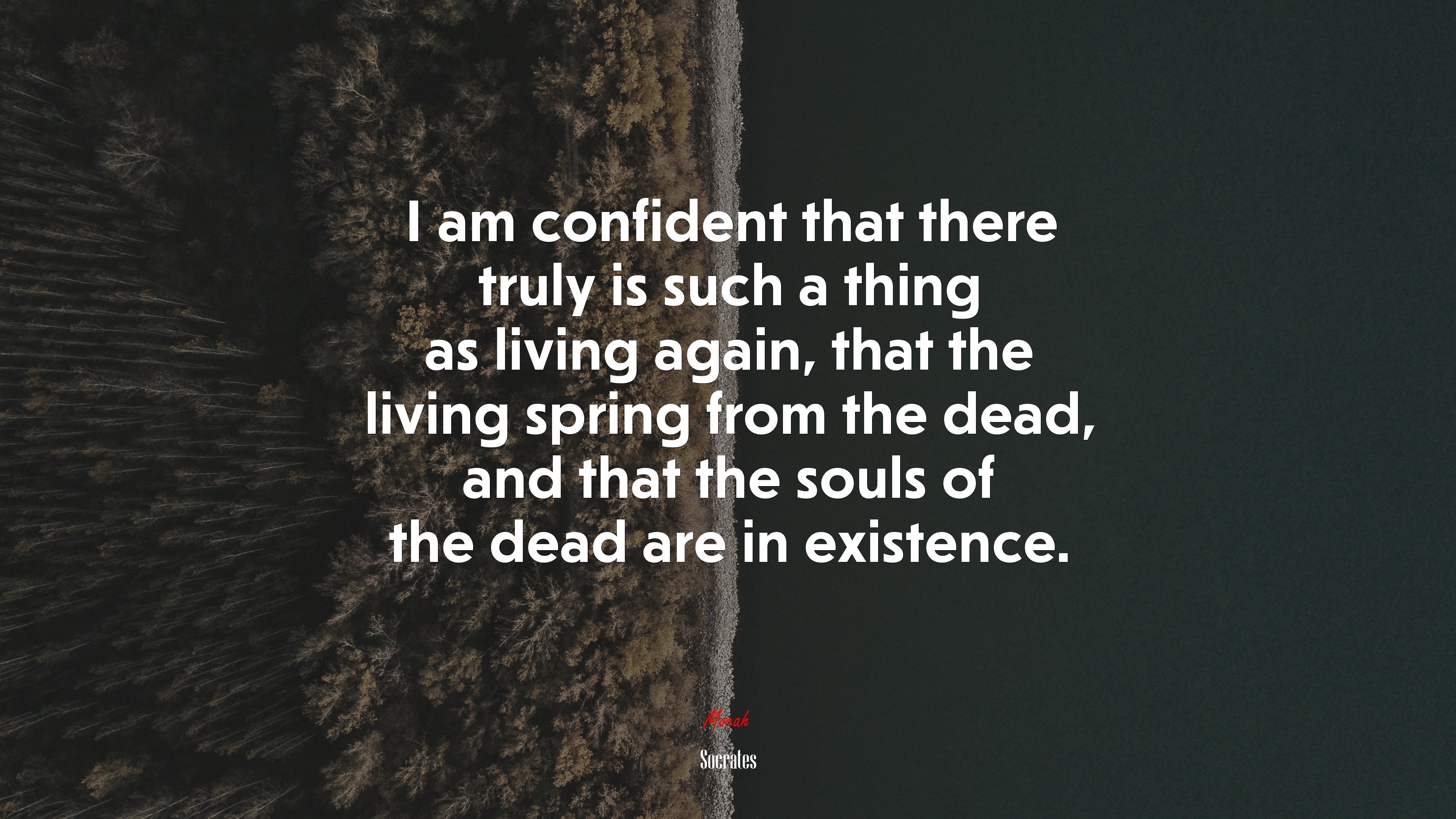 I am confident that there truly is such a thing as living again, that the living spring from the dead, and that the souls of the dead are in existence. | Socrates quote HD Wallpaper