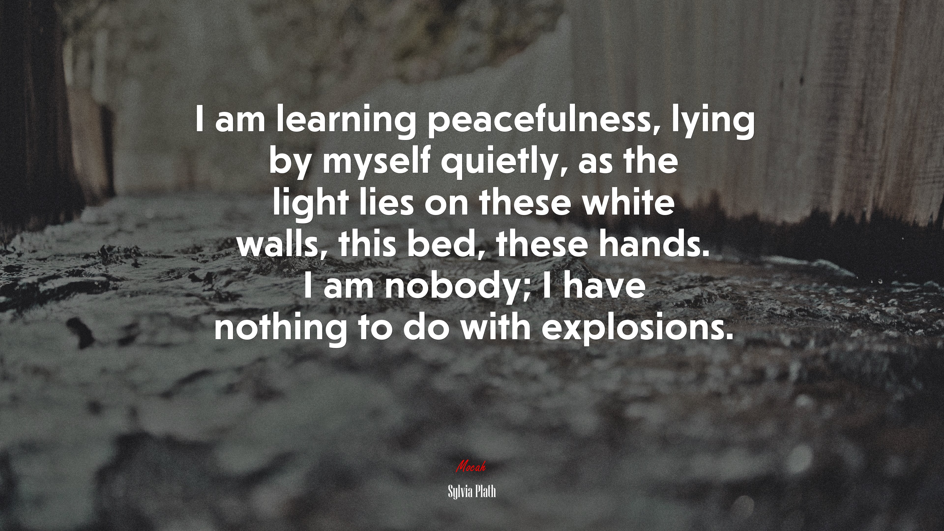 I am learning peacefulness, lying by myself quietly, as the light lies on these white walls, this bed, these hands. I am nobody; I have nothing to do with explosions. | Sylvia Plath quote HD Wallpaper