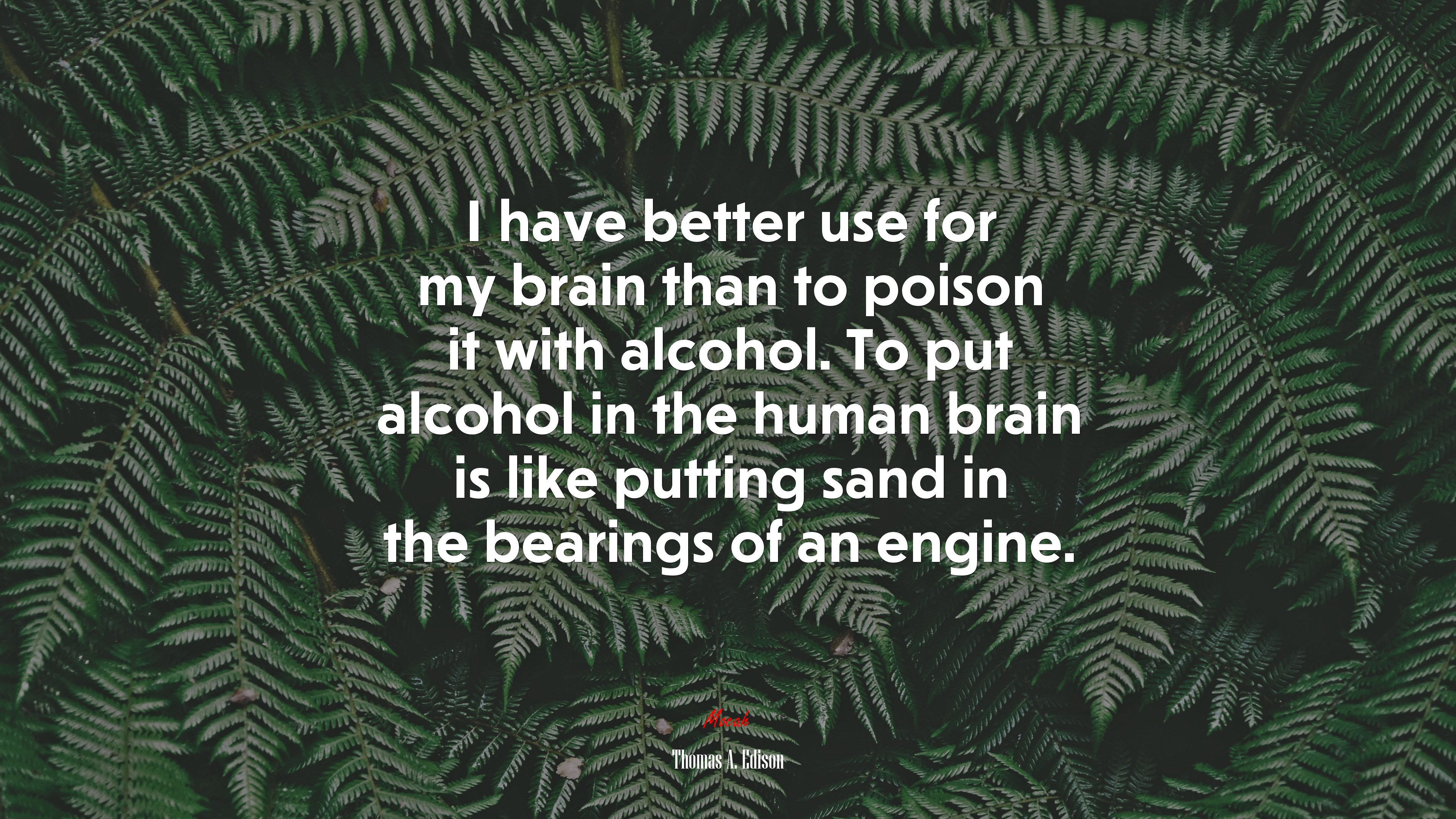 I have better use for my brain than to poison it with alcohol. To put alcohol in the human brain is like putting sand in the bearings of an engine. | Thomas A. Edison quote HD Wallpaper