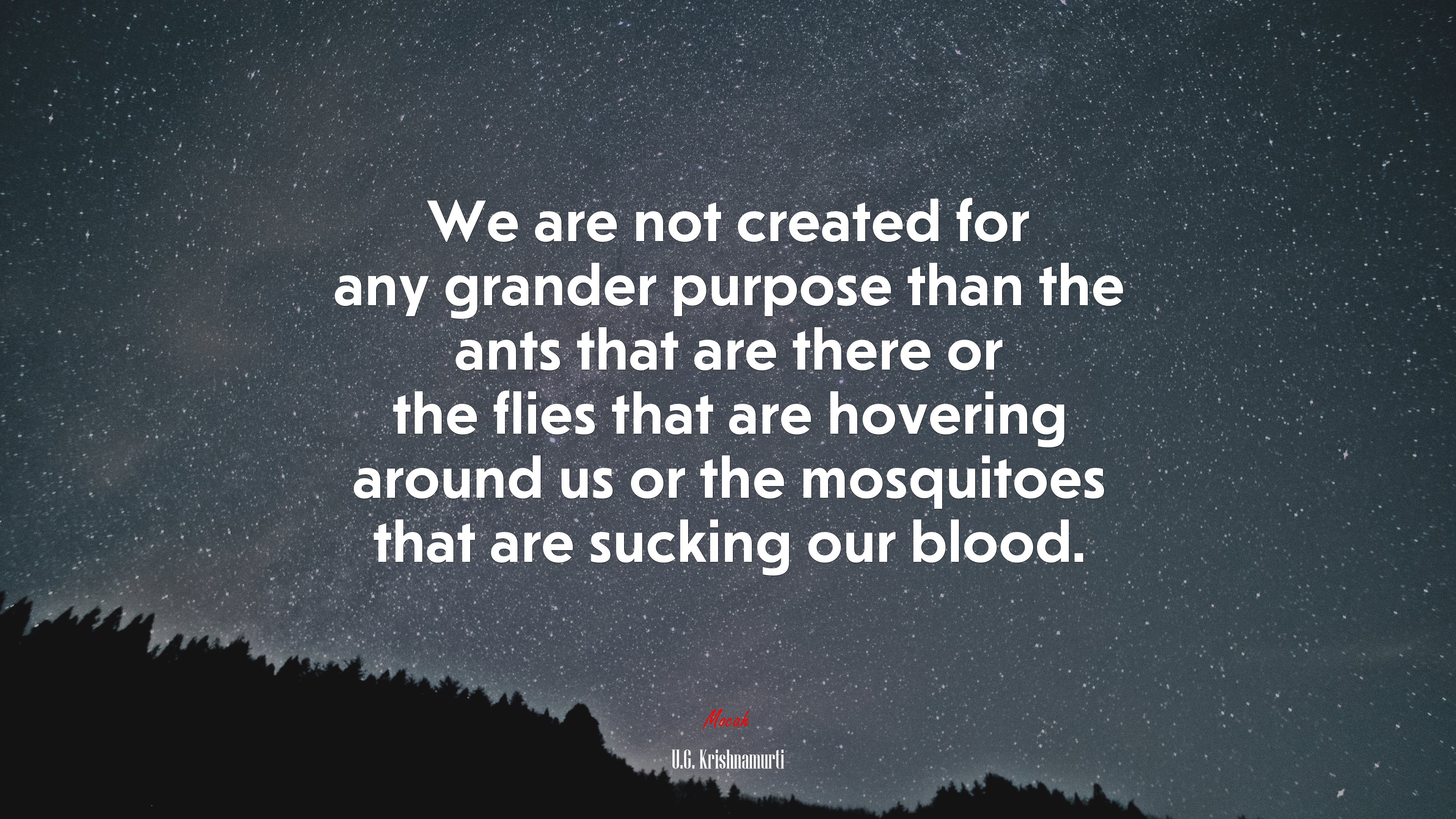 We are not created for any grander purpose than the ants that are there or the flies that are hovering around us or the mosquitoes that are sucking our blood. | U.G. Krishnamurti quote HD Wallpaper