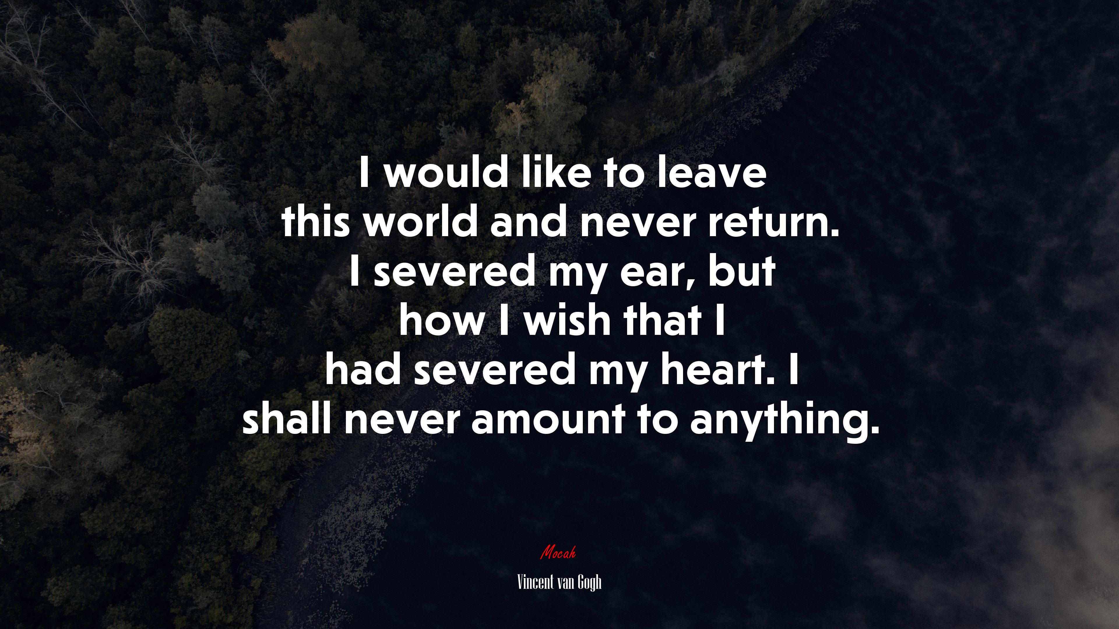 I would like to leave this world and never return. I severed my ear, but how I wish that I had severed my heart. I shall never amount to anything. | Vincent van Gogh quote HD Wallpaper