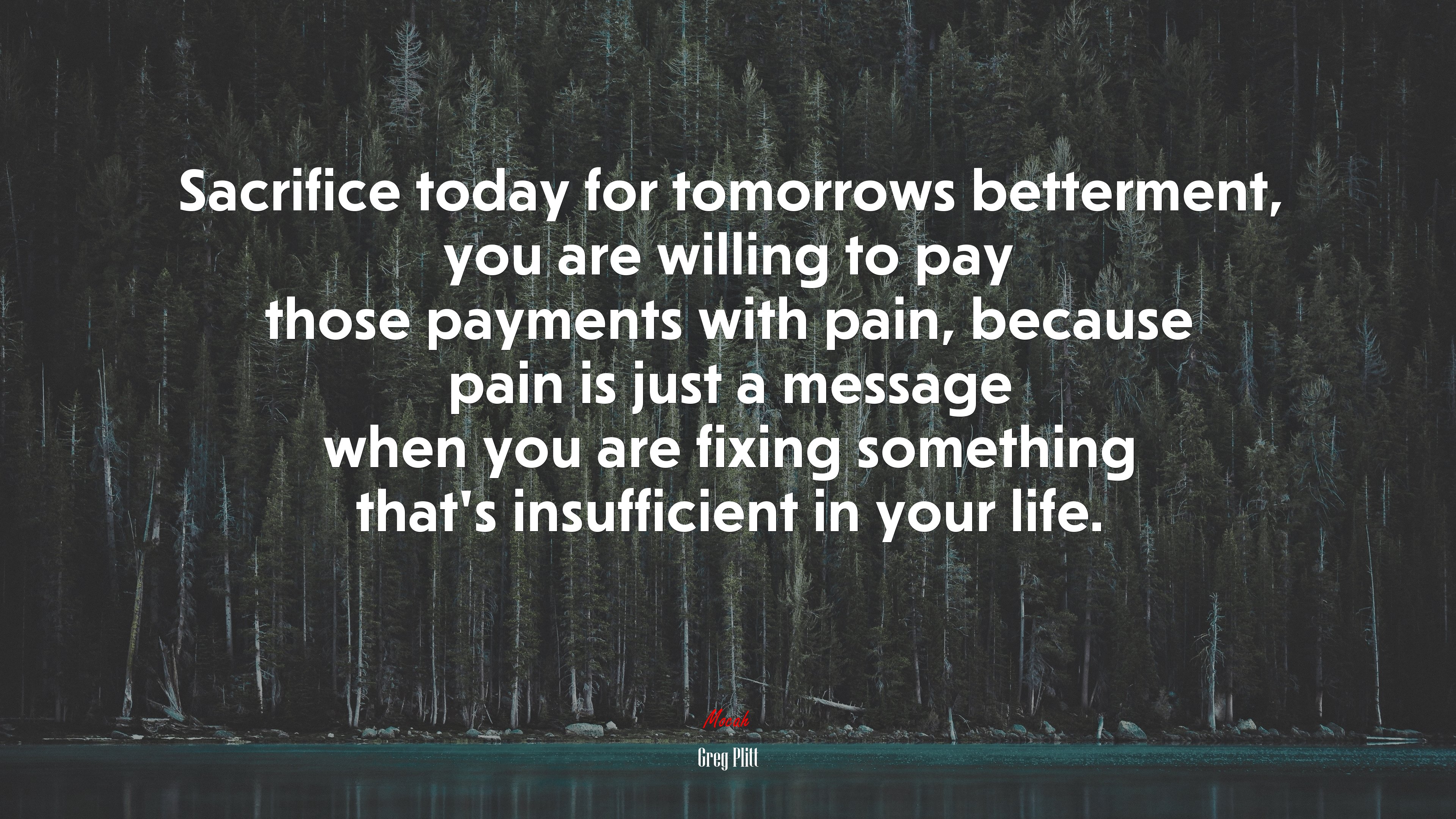 Sacrifice today for tomorrows betterment, you are willing to pay those payments with pain, because pain is just a message when you are fixing something that’s insufficient in your life. | Greg Plitt quote HD Wallpaper