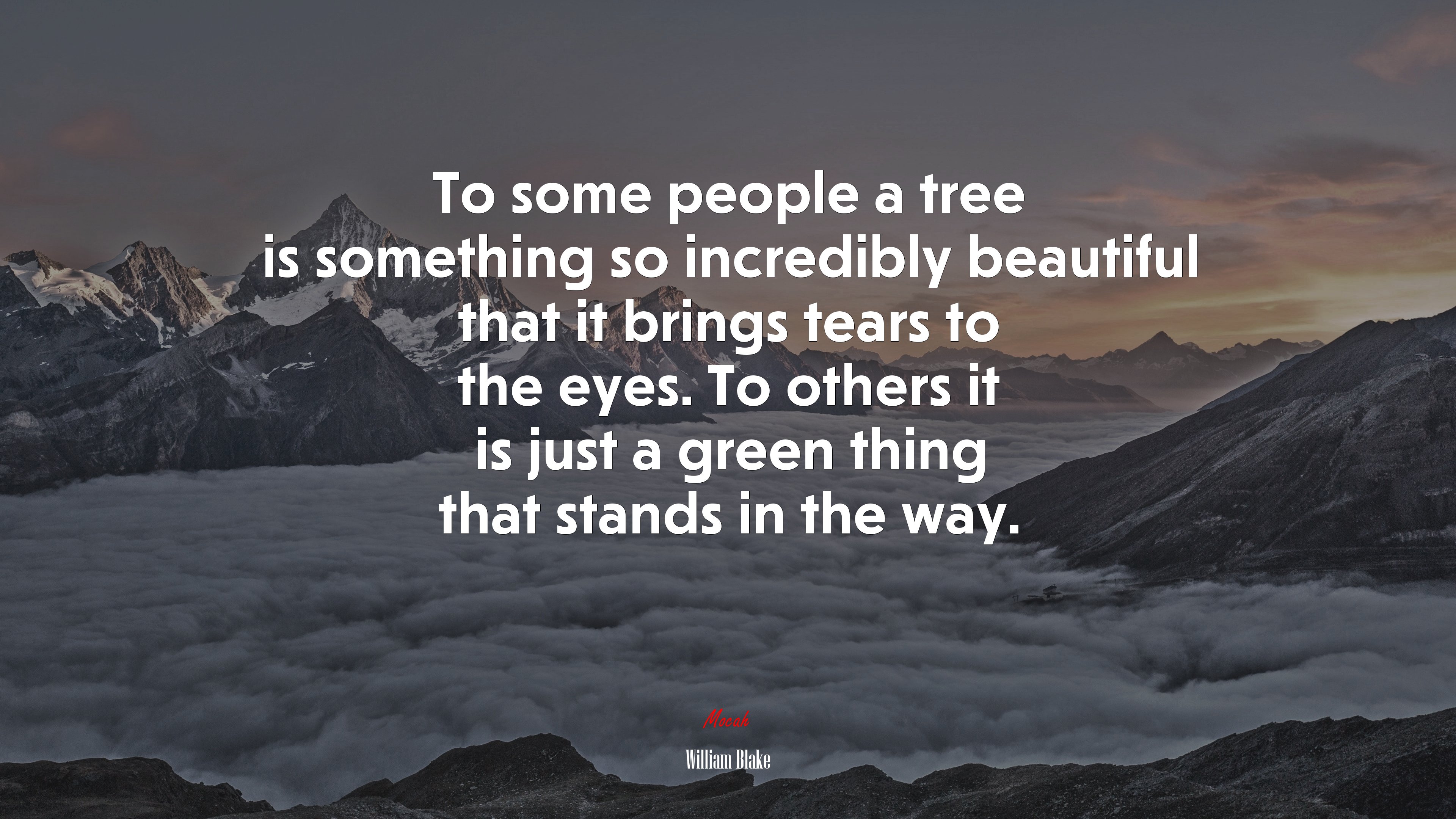 To some people a tree is something so incredibly beautiful that it brings tears to the eyes. To others it is just a green thing that stands in the way. | William Blake quote HD Wallpaper