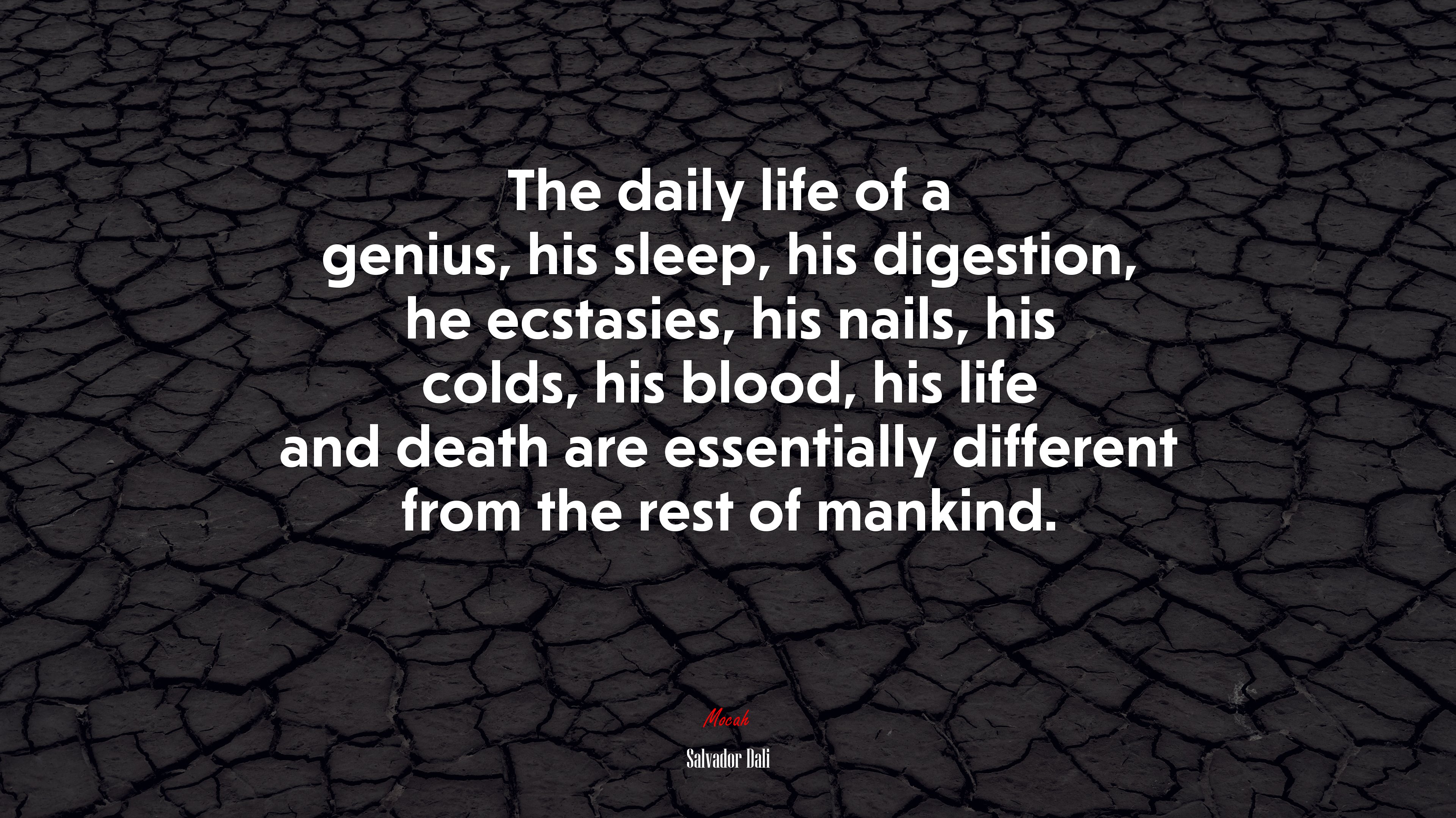 The daily life of a genius, his sleep, his digestion, he ecstasies, his nails, his colds, his blood, his life and death are essentially different from the rest of mankind. | Salvador Dalí quote HD Wallpaper