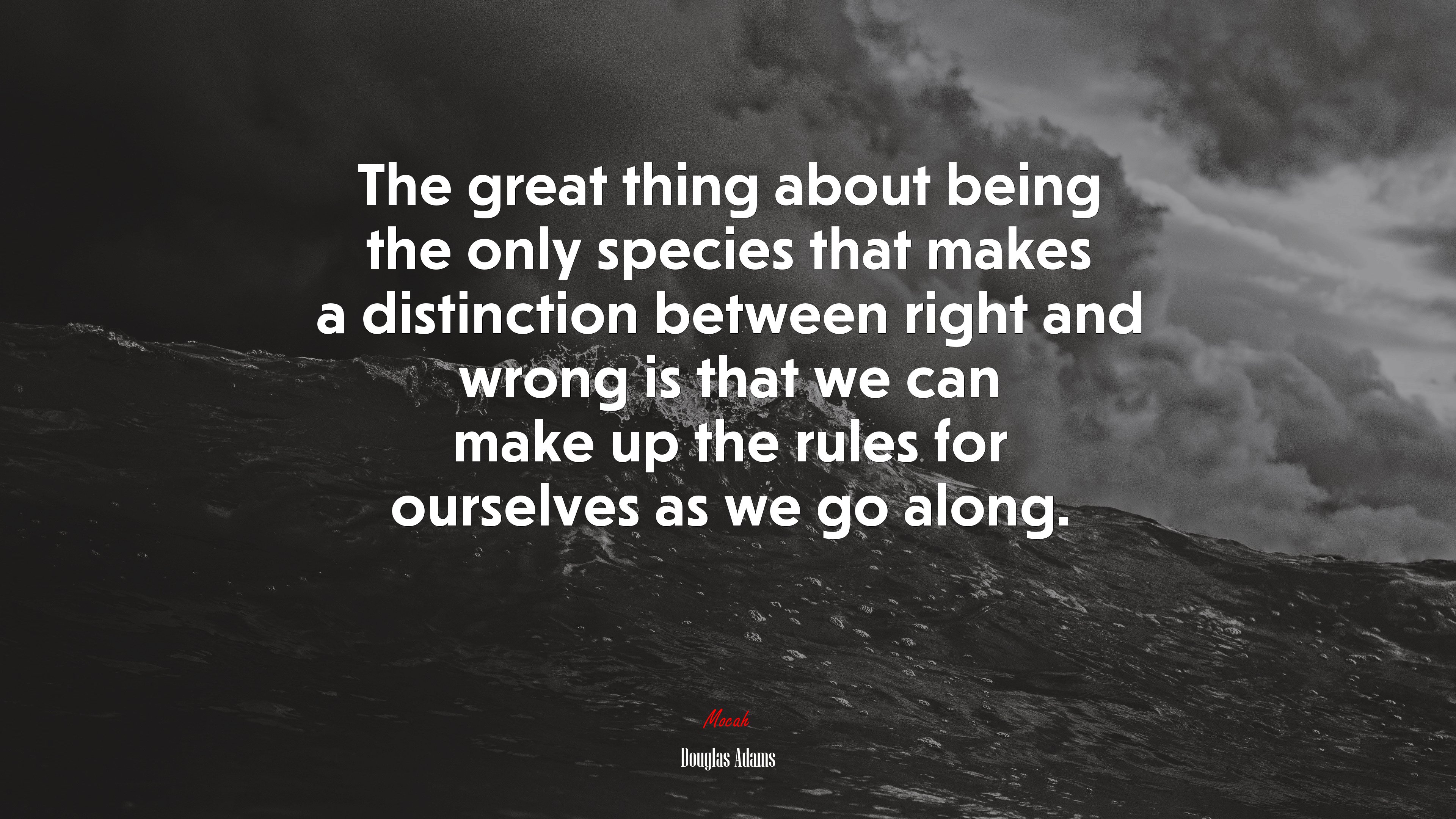 The great thing about being the only species that makes a distinction between right and wrong is that we can make up the rules for ourselves as we go along. | Douglas Adams quote HD Wallpaper