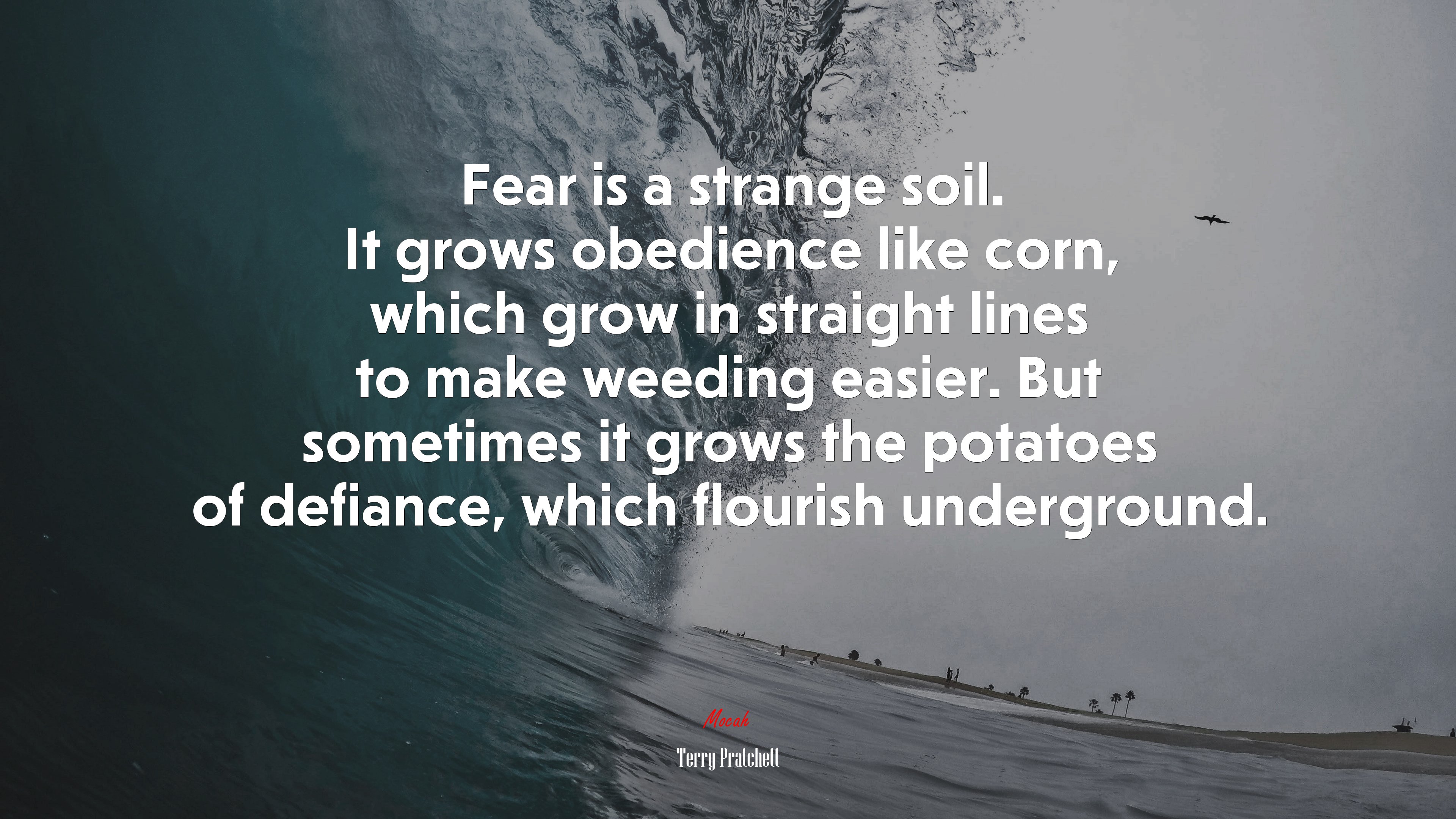 Fear is a strange soil. It grows obedience like corn, which grow in straight lines to make weeding easier. But sometimes it grows the potatoes of defiance, which flourish underground. | Terry Pratchett quote HD Wallpaper
