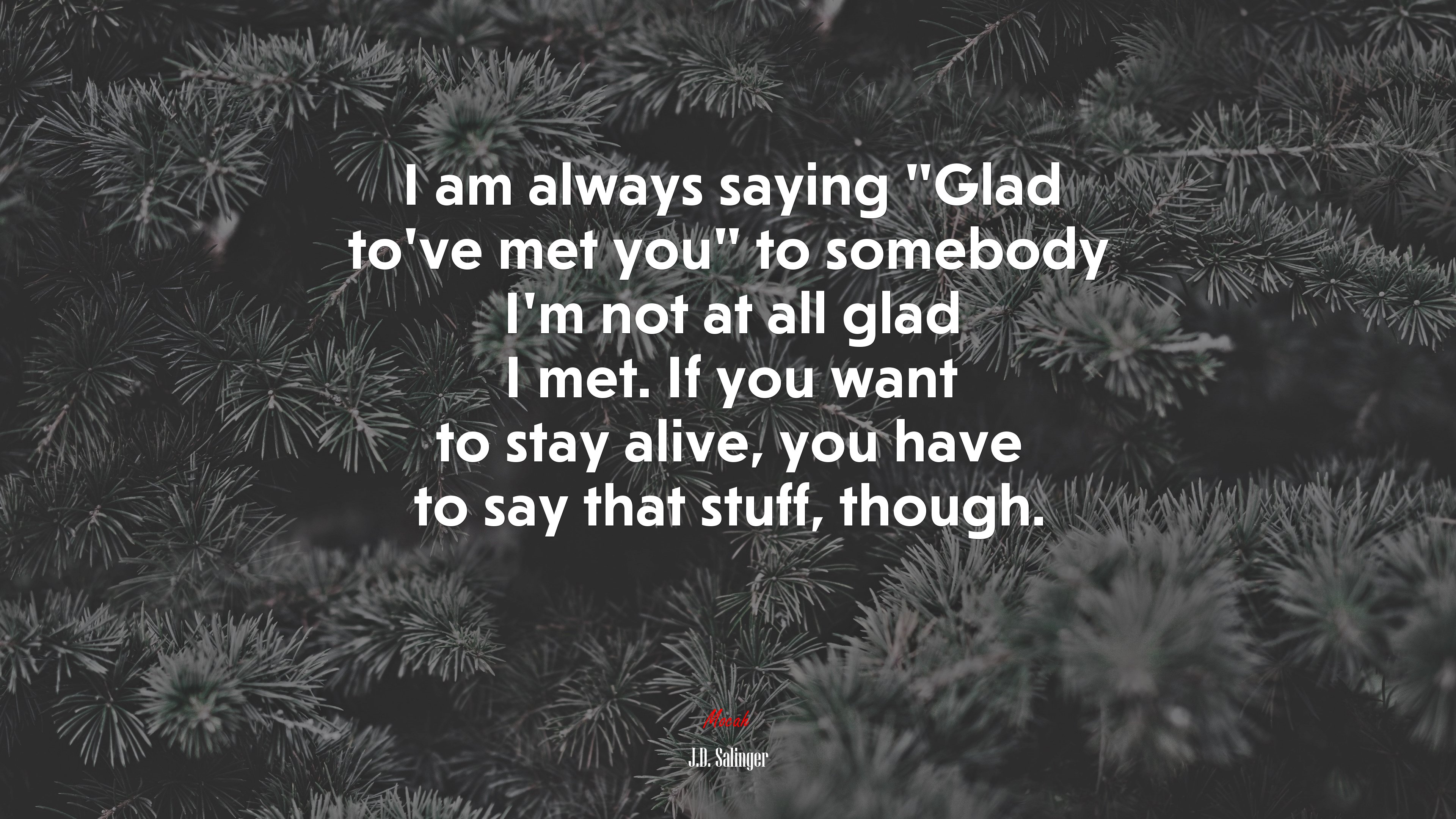 I am always saying “Glad to’ve met you” to somebody I’m not at all glad I met. If you want to stay alive, you have to say that stuff, though. | J.D. Salinger quote HD Wallpaper