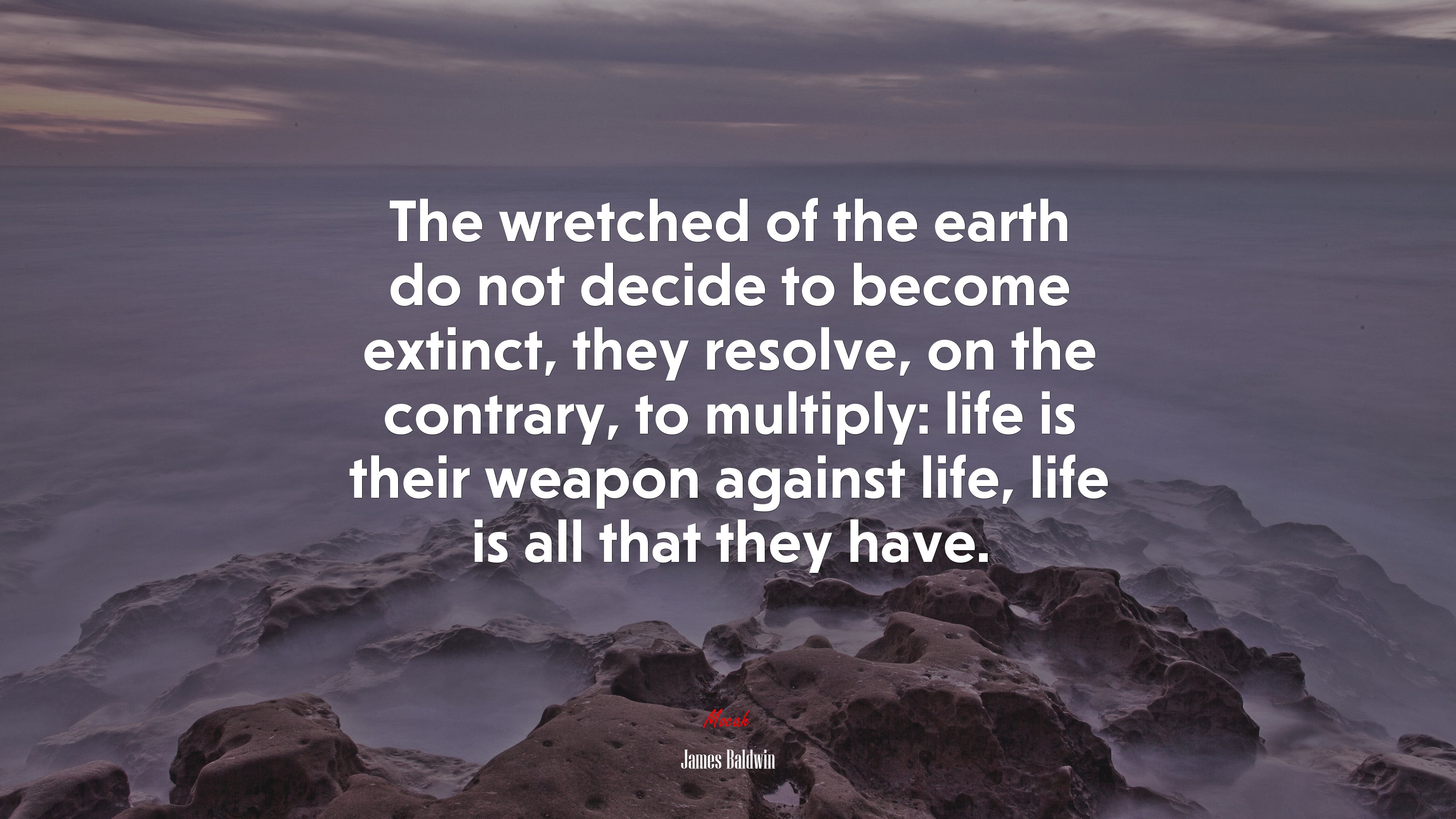 The wretched of the earth do not decide to become extinct, they resolve, on the contrary, to multiply: life is their weapon against life, life is all that they have. | James Baldwin quote HD Wallpaper