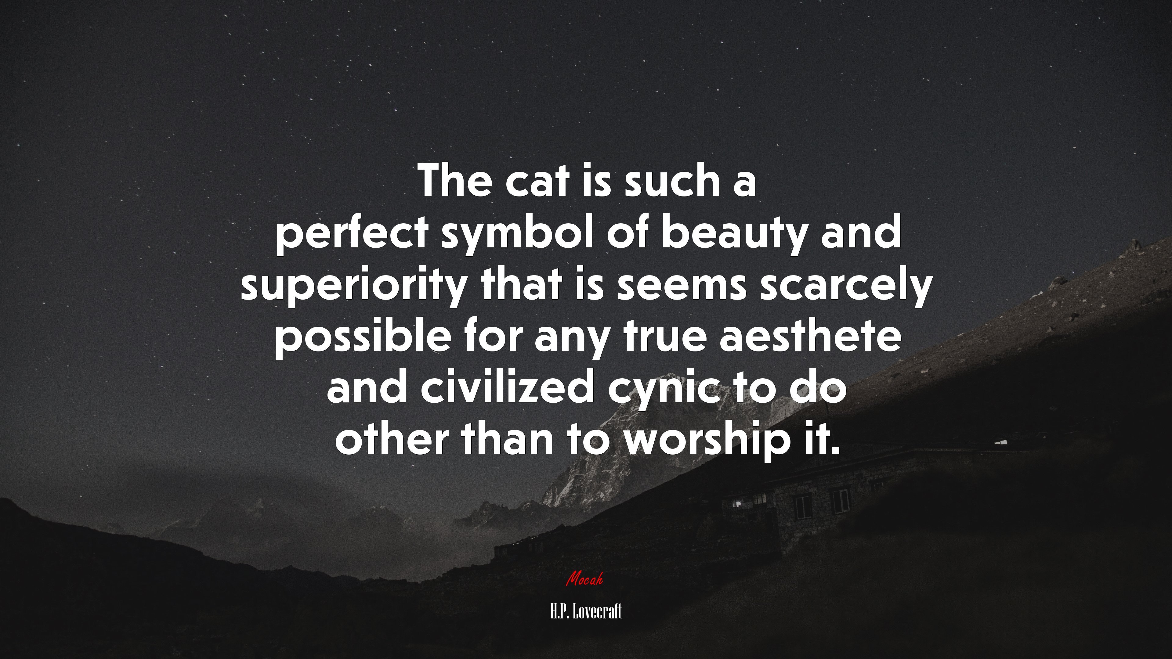The cat is such a perfect symbol of beauty and superiority that is seems scarcely possible for any true aesthete and civilized cynic to do other than to worship it. | H.P. Lovecraft quote HD Wallpaper