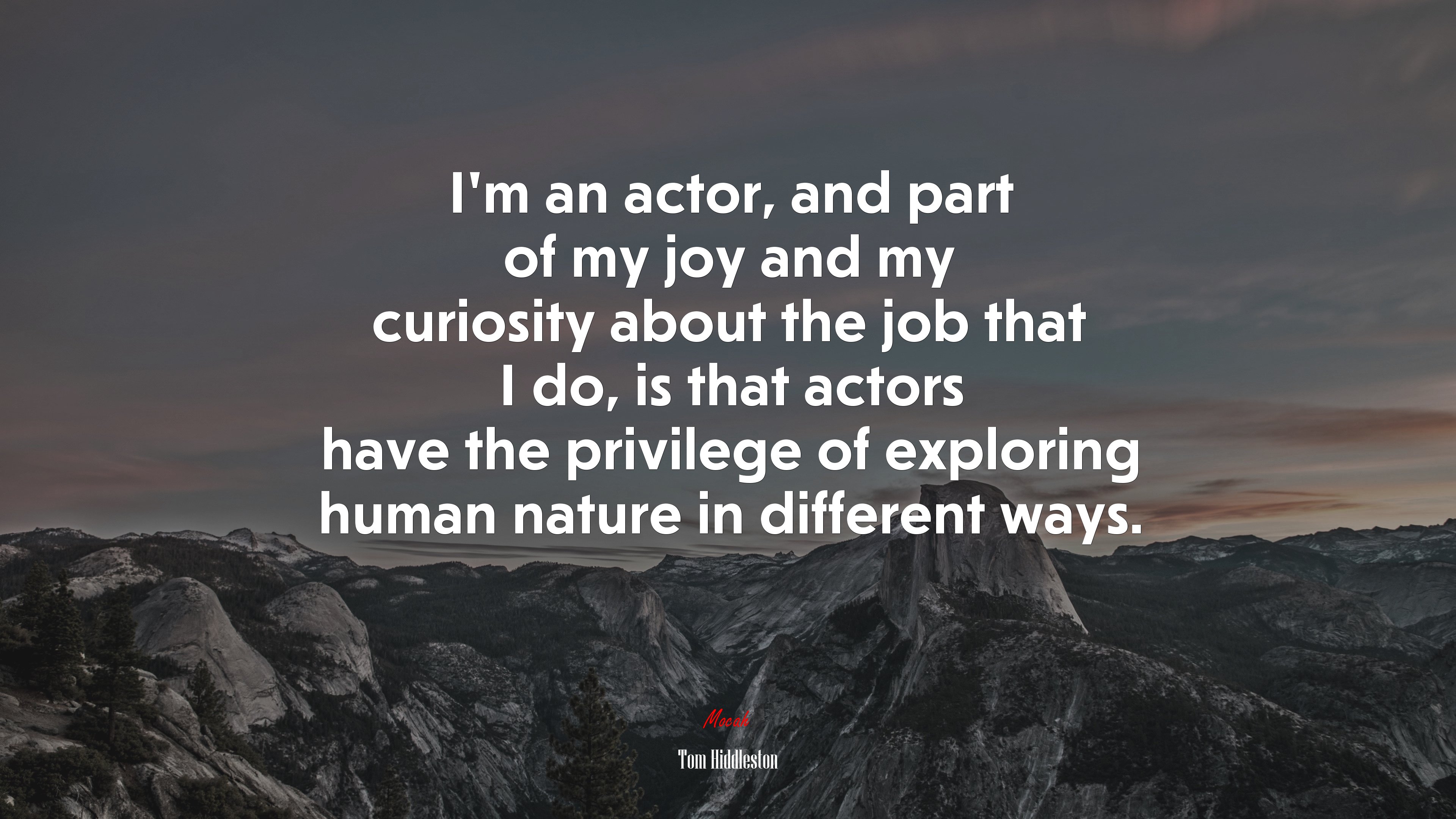 I’m an actor, and part of my joy and my curiosity about the job that I do, is that actors have the privilege of exploring human nature in different ways. | Tom Hiddleston quote HD Wallpaper