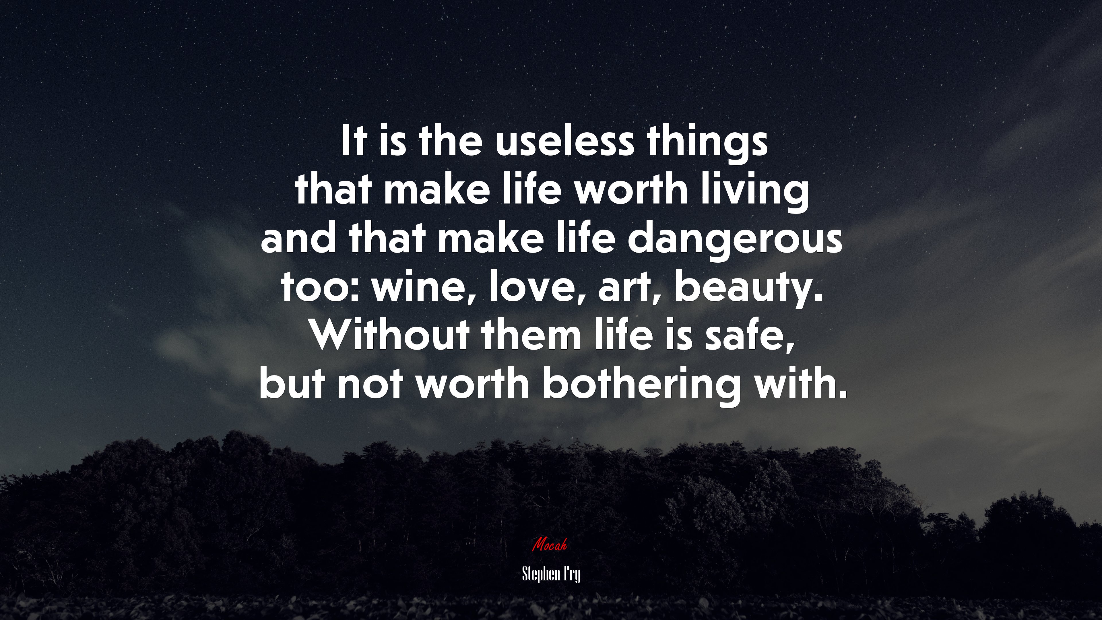 It is the useless things that make life worth living and that make life dangerous too: wine, love, art, beauty. Without them life is safe, but not worth bothering with. | Stephen Fry quote HD Wallpaper