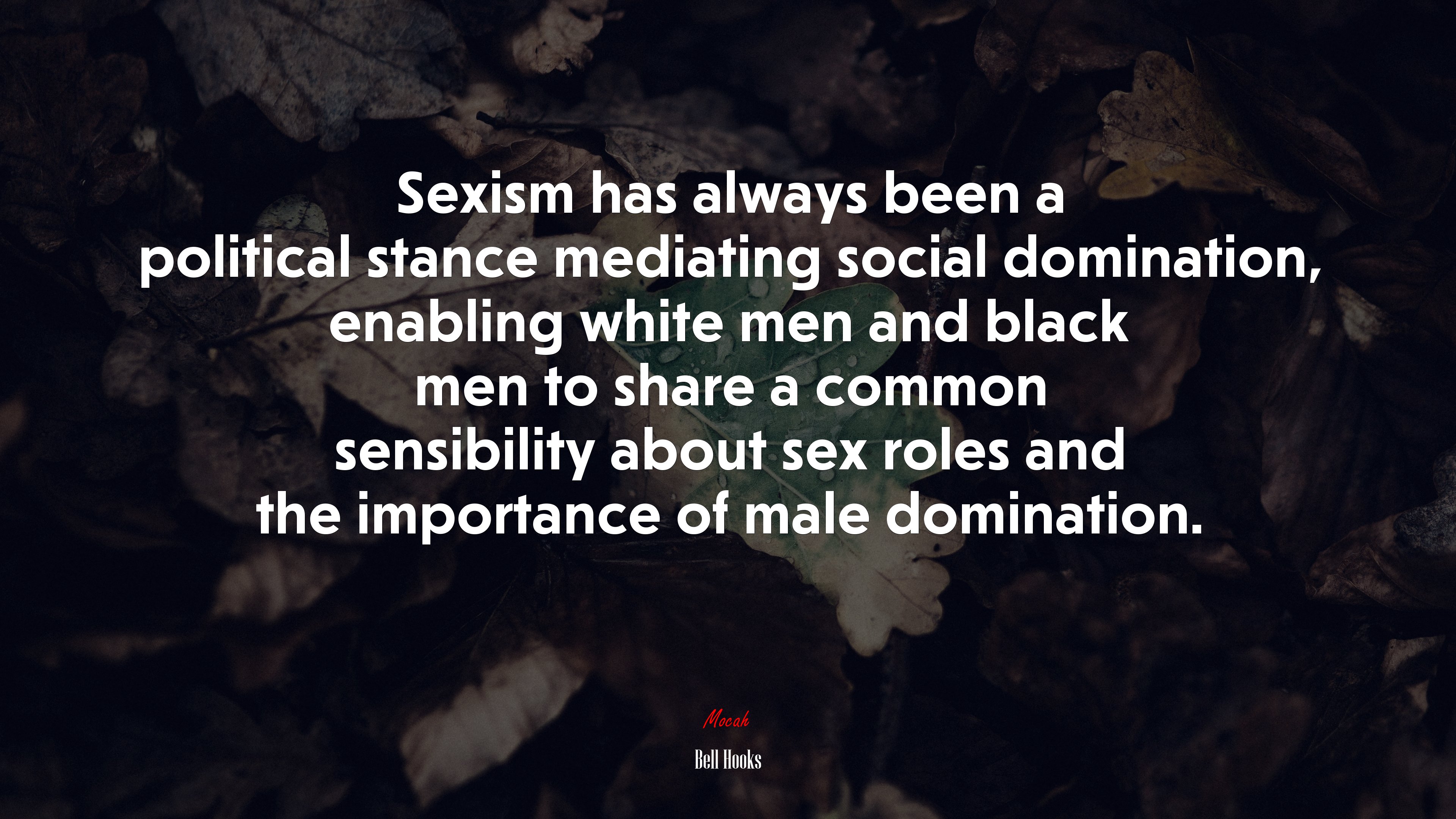 Sexism has always been a political stance mediating social domination, enabling white men and black men to share a common sensibility about sex roles and the importance of male domination. | Bell Hooks quote HD Wallpaper