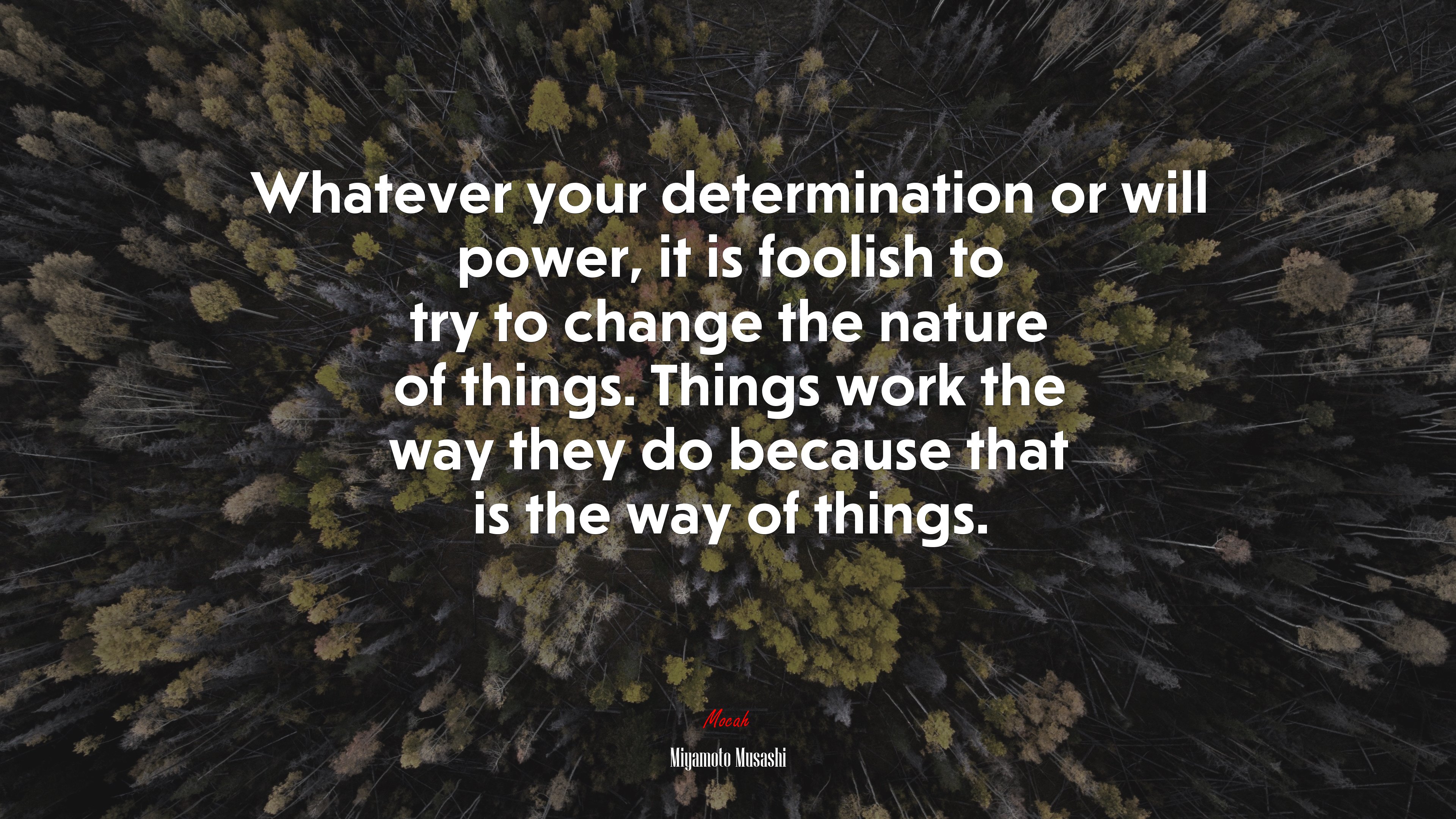 Whatever your determination or will power, it is foolish to try to change the nature of things. Things work the way they do because that is the way of things. | Miyamoto Musashi quote HD Wallpaper