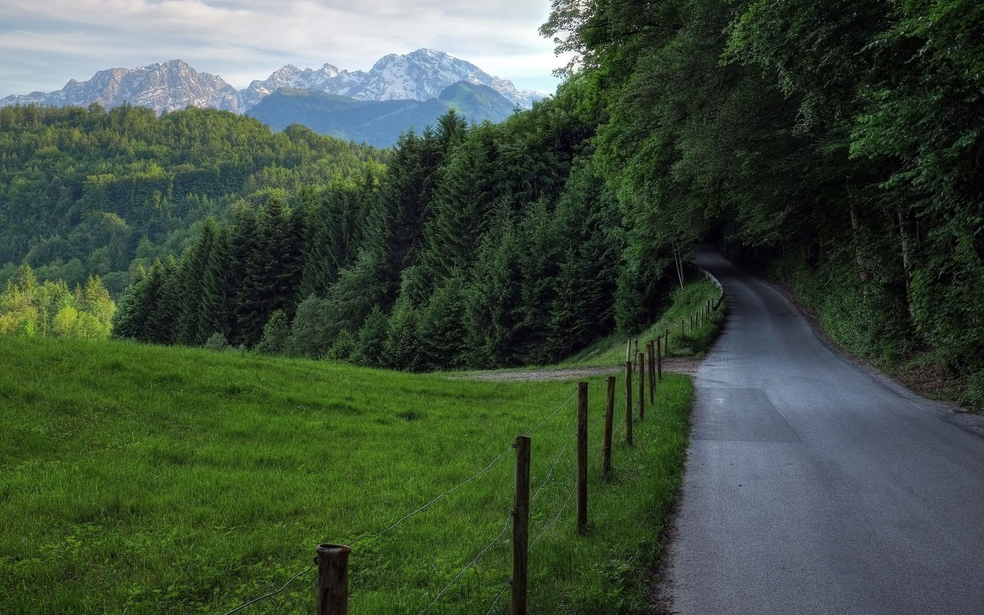 Mountain landscape with a winding road and forest HD Wallpaper