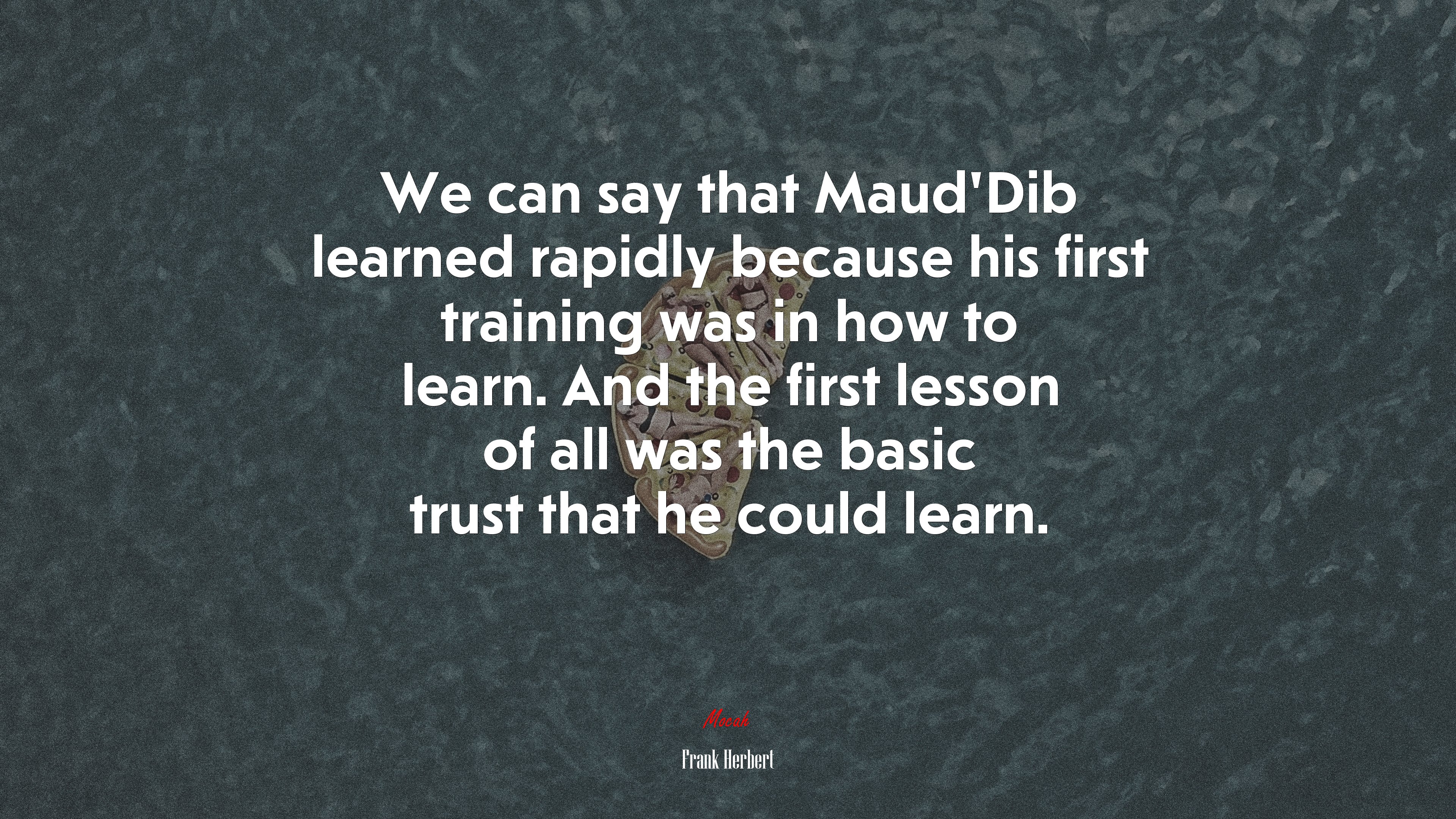 We can say that Maud’Dib learned rapidly because his first training was in how to learn. And the first lesson of all was the basic trust that he could learn. | Frank Herbert quote HD Wallpaper
