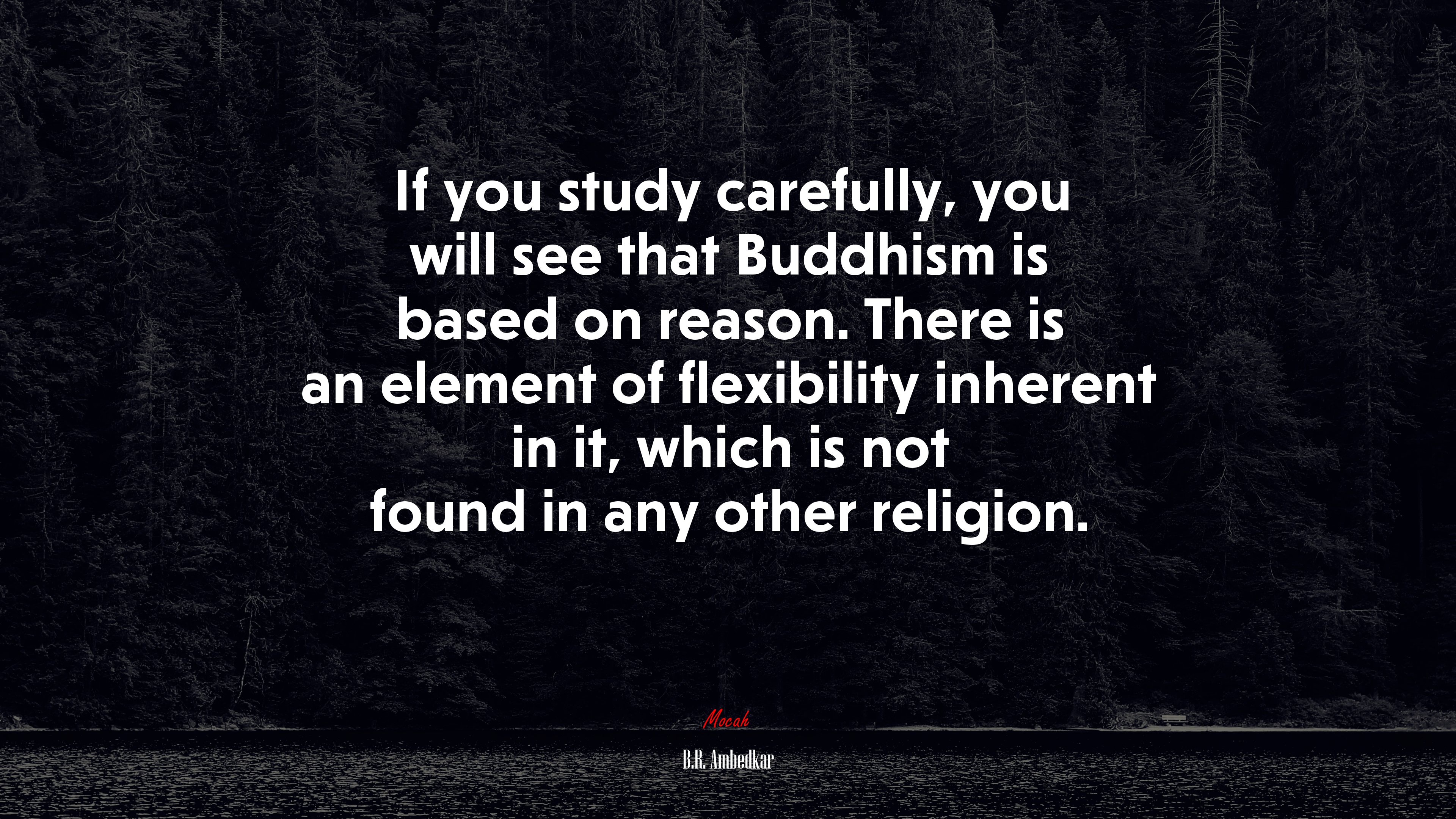If you study carefully, you will see that Buddhism is based on reason. There is an element of flexibility inherent in it, which is not found in any other religion. | B.R. Ambedkar quote HD Wallpaper