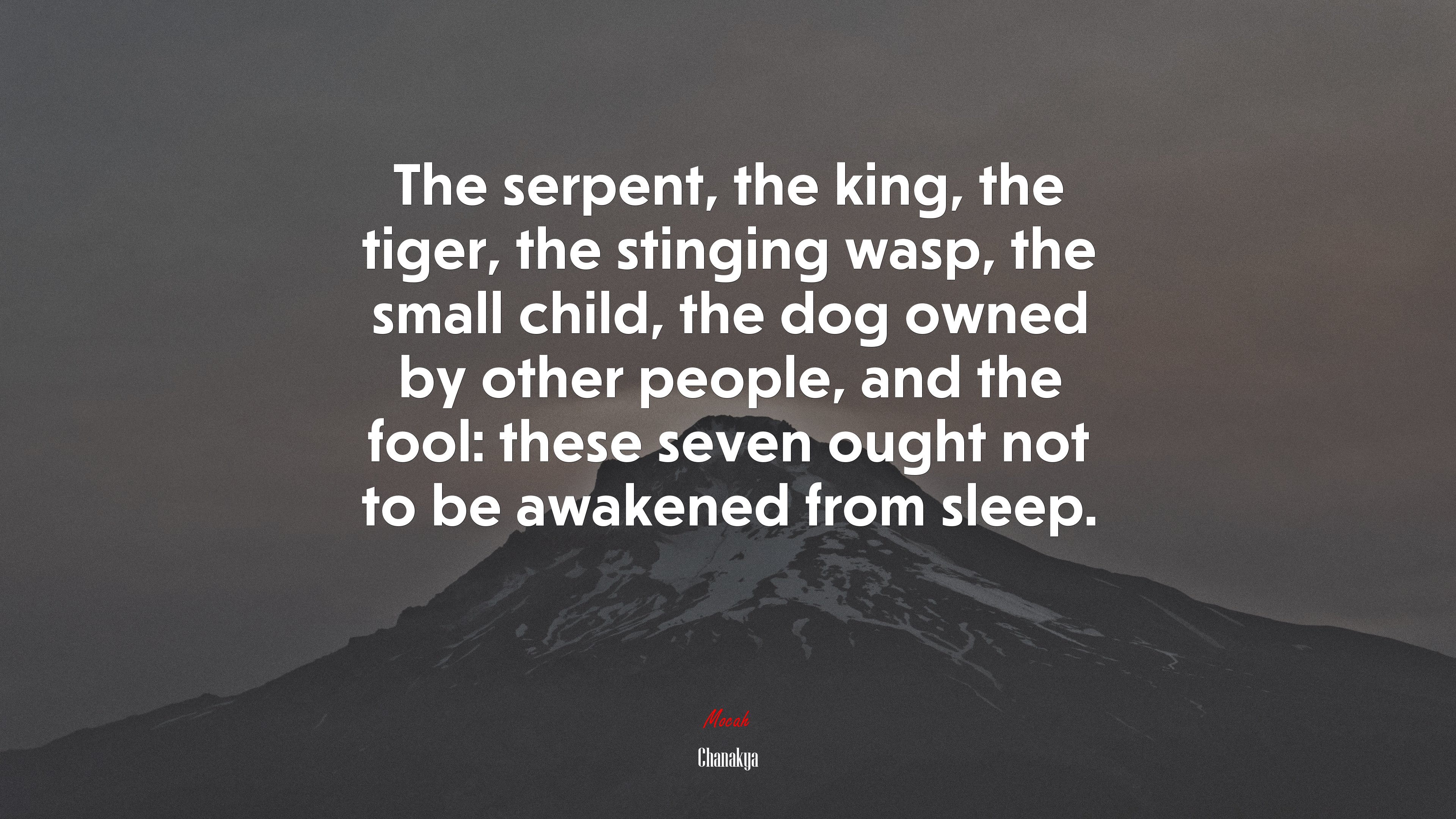 The serpent, the king, the tiger, the stinging wasp, the small child, the dog owned by other people, and the fool: these seven ought not to be awakened from sleep. | Chanakya quote HD Wallpaper