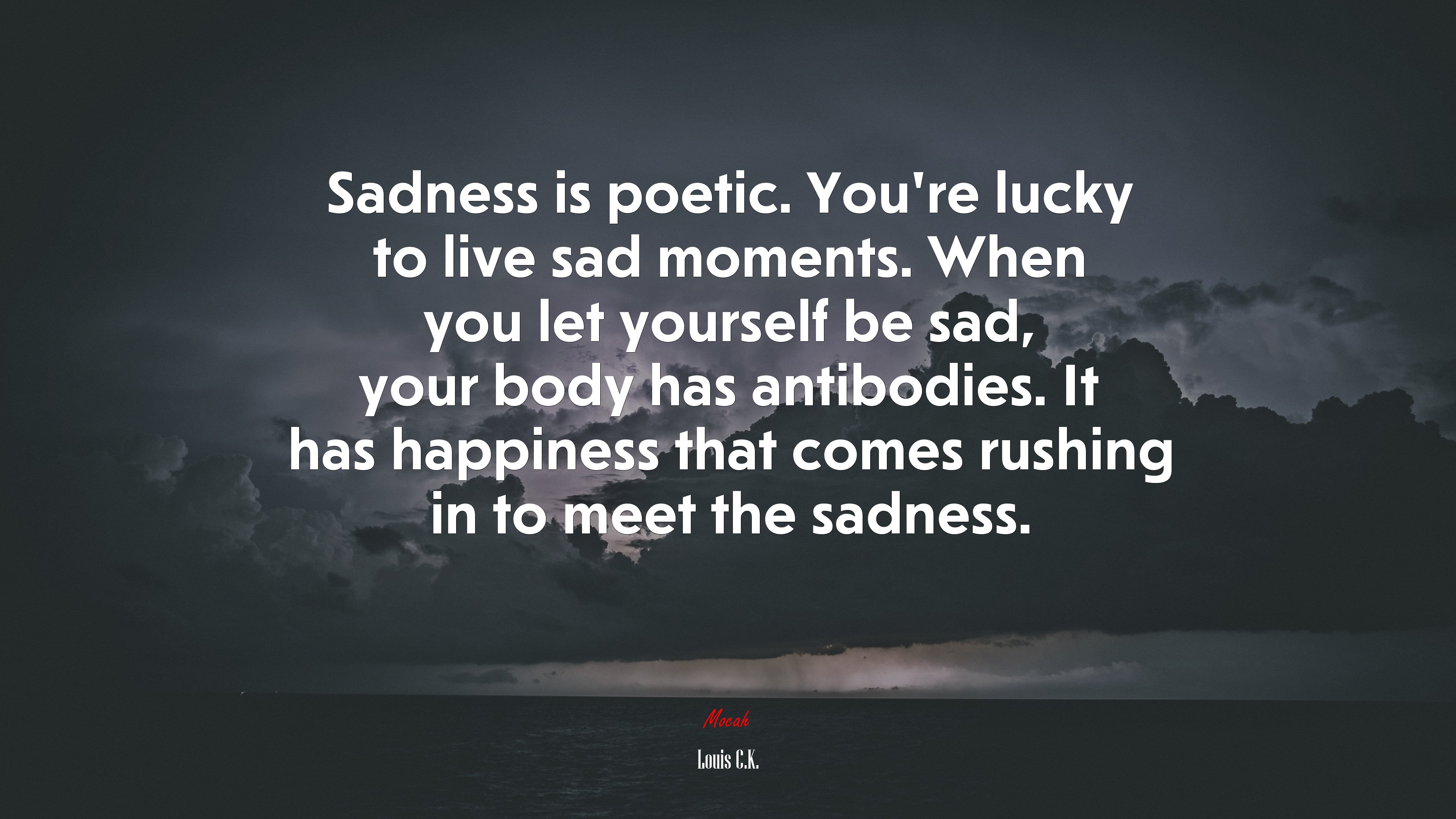 Sadness is poetic. You’re lucky to live sad moments. When you let yourself be sad, your body has antibodies. It has happiness that comes rushing in to meet the sadness. | Louis C.K. quote HD Wallpaper