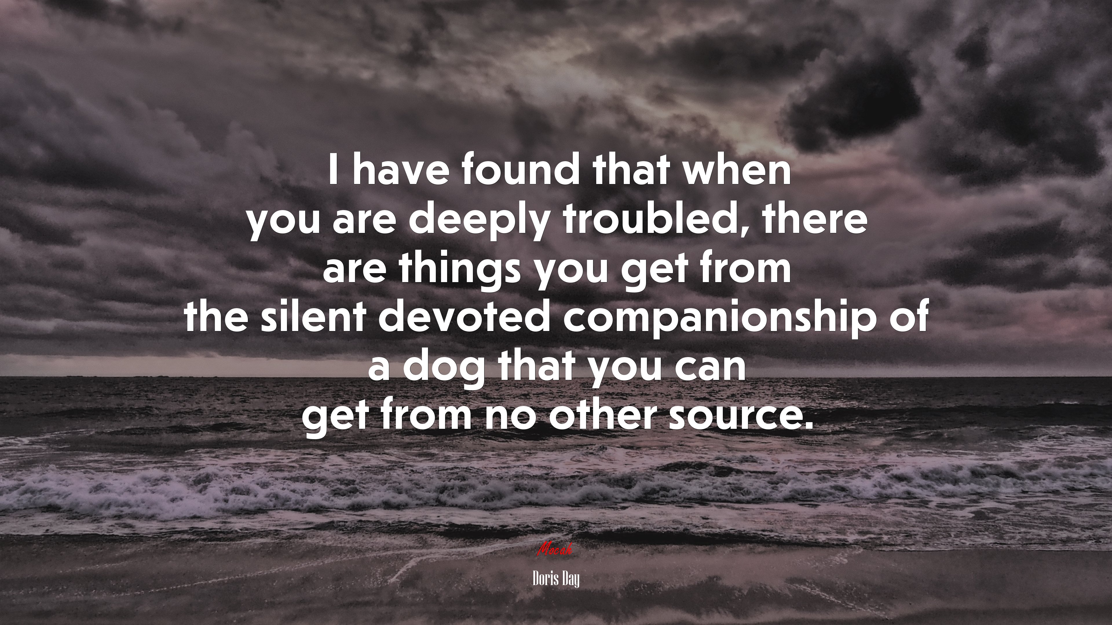 I have found that when you are deeply troubled, there are things you get from the silent devoted companionship of a dog that you can get from no other source. | Doris Day quote HD Wallpaper