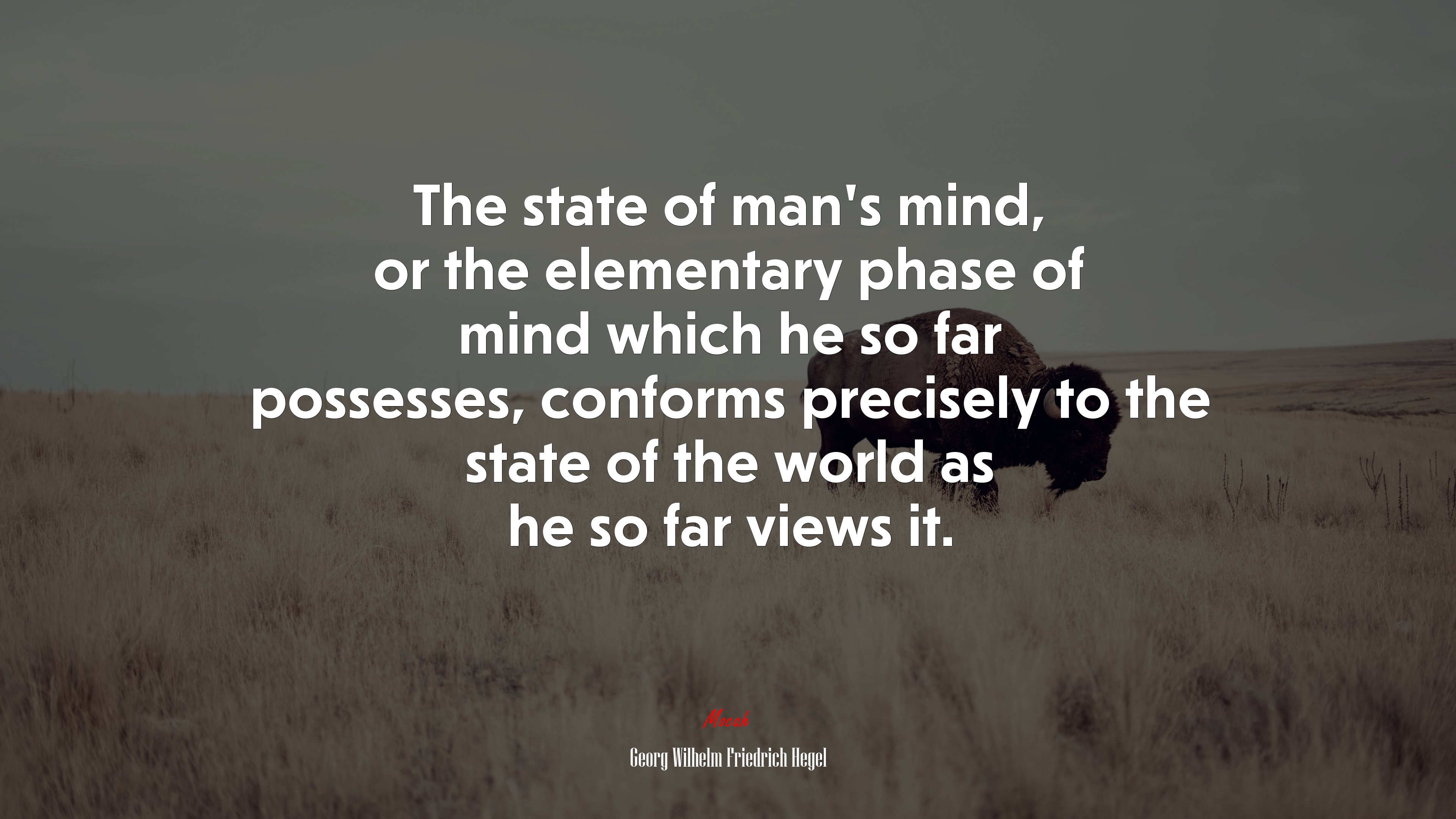 The state of man’s mind, or the elementary phase of mind which he so far possesses, conforms precisely to the state of the world as he so far views it. | Georg Wilhelm Friedrich Hegel quote HD Wallpaper