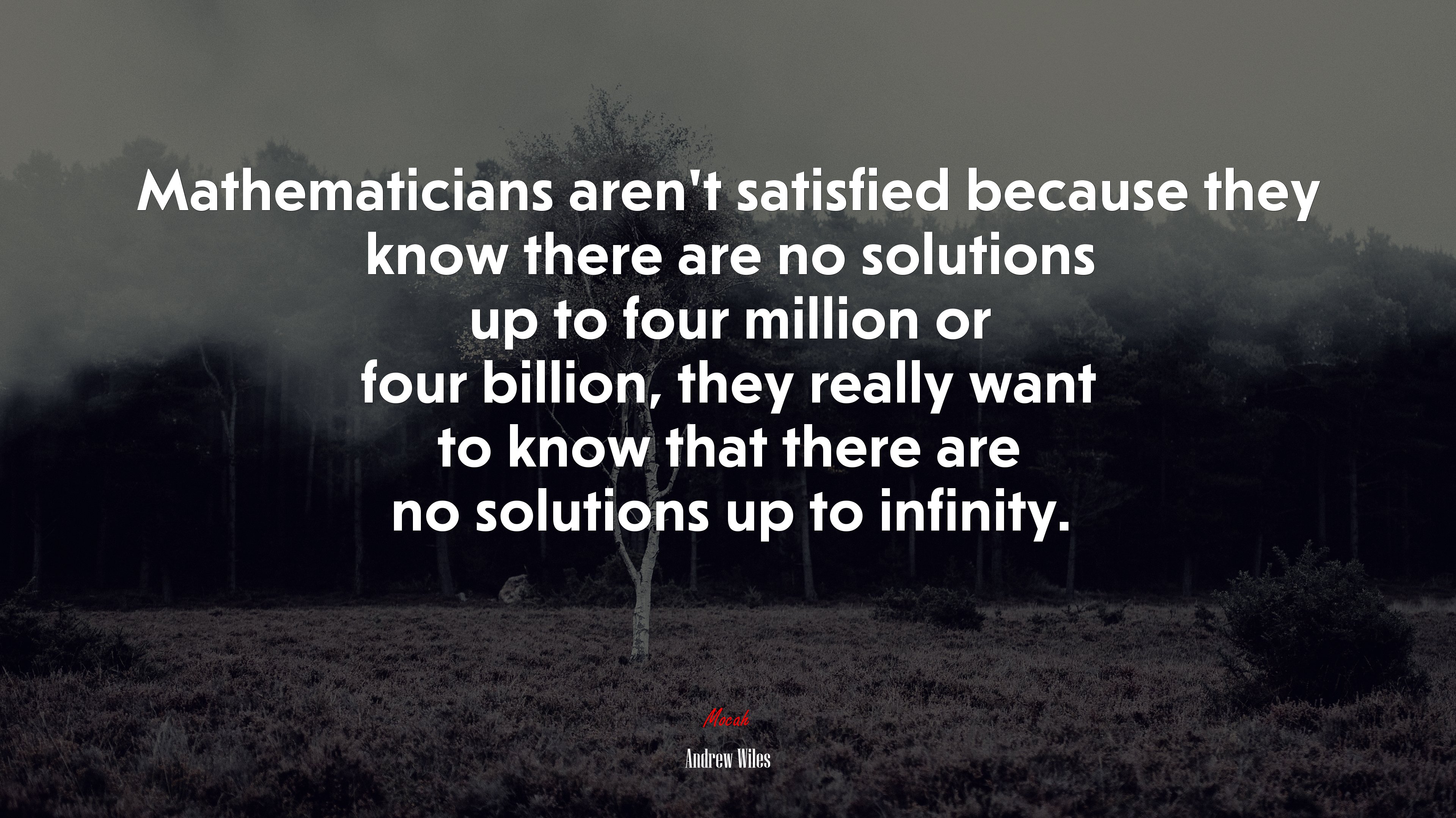 Mathematicians aren’t satisfied because they know there are no solutions up to four million or four billion, they really want to know that there are no solutions up to infinity. | Andrew Wiles quote HD Wallpaper