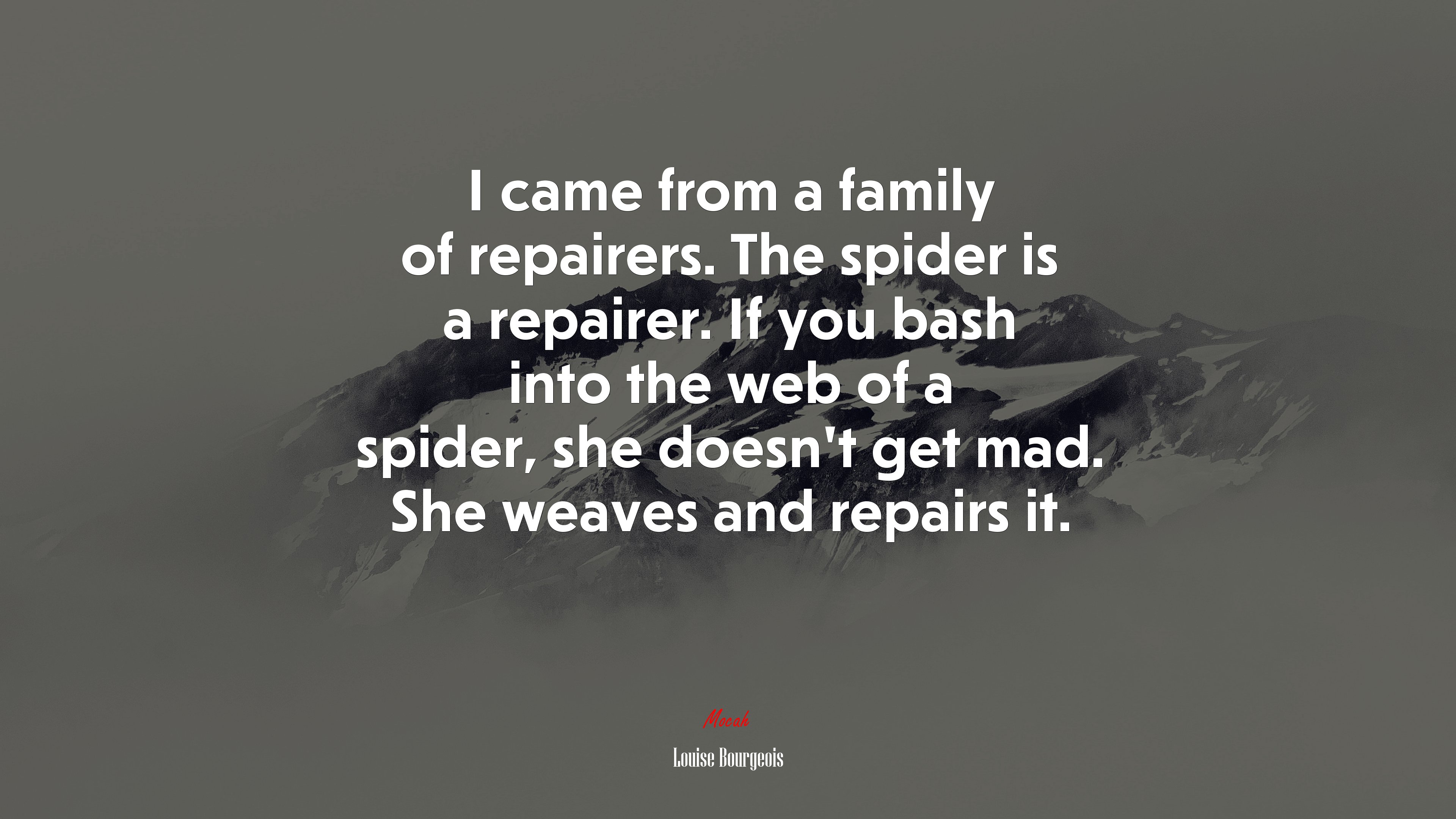 I came from a family of repairers. The spider is a repairer. If you bash into the web of a spider, she doesn’t get mad. She weaves and repairs it. | Louise Bourgeois quote HD Wallpaper
