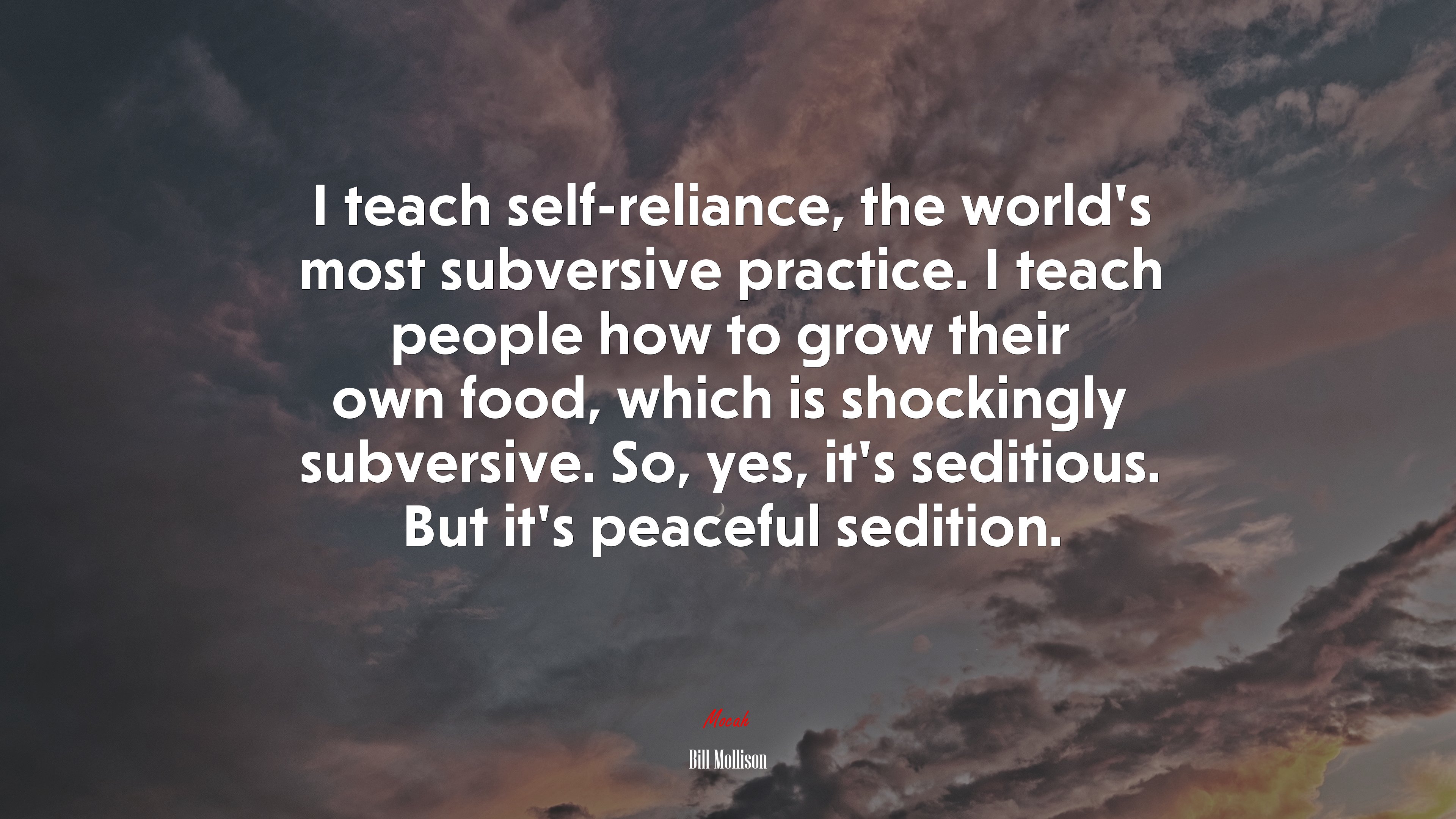 I teach self-reliance, the world’s most subversive practice. I teach people how to grow their own food, which is shockingly subversive. So, yes, it’s seditious. But it’s peaceful sedition. | Bill Mollison quote HD Wallpaper